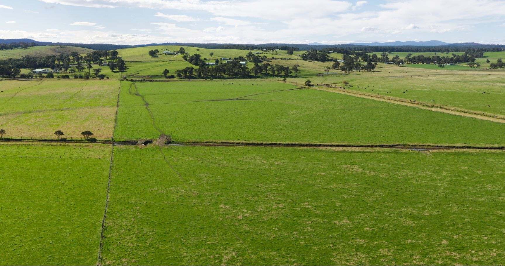 424 Princes Highway, Orbost Auction by Farmbuy.com - image 1