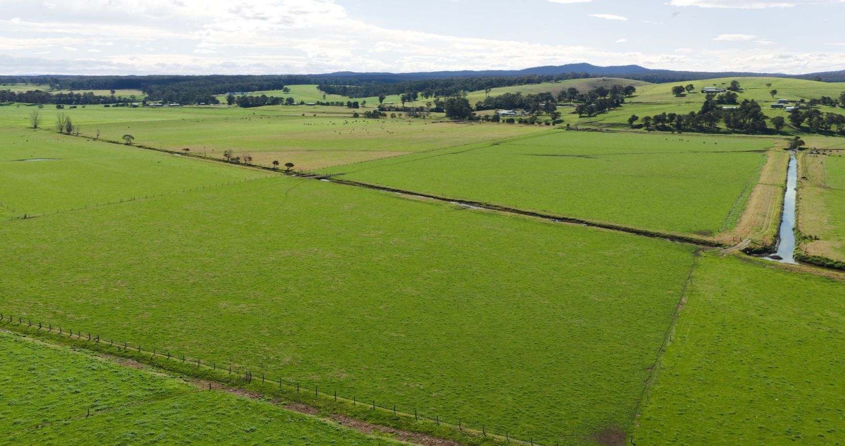424 Princes Highway, Orbost Auction by Farmbuy.com - image 4