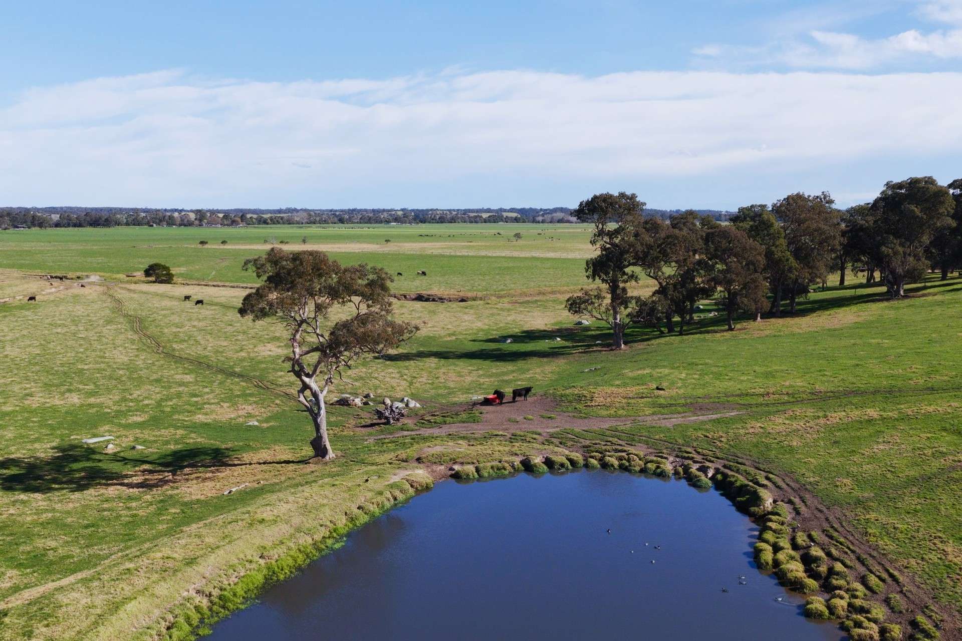 424 Princes Highway, Orbost Auction by Farmbuy.com - image 10