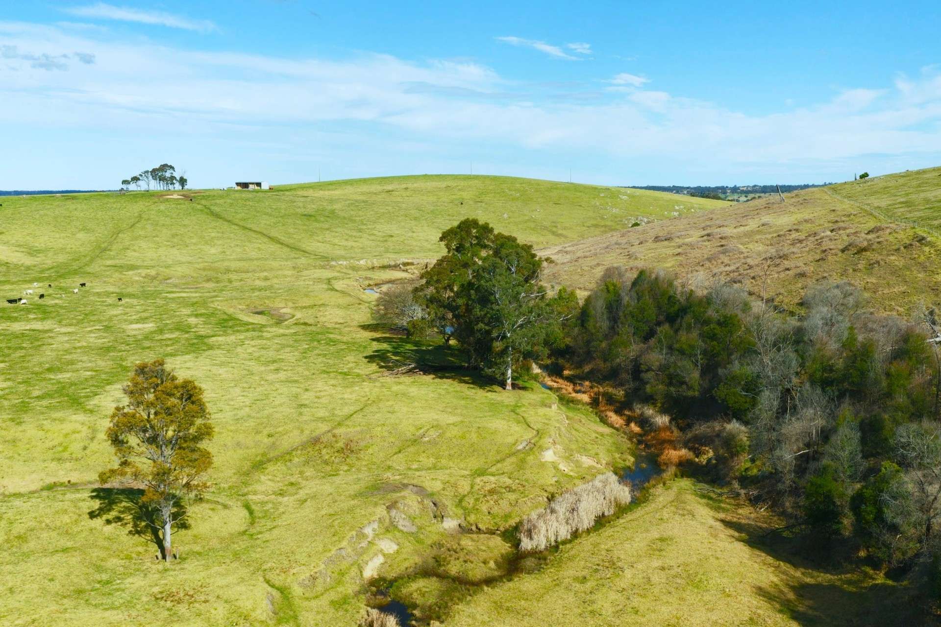 424 Princes Highway, Orbost Auction by Farmbuy.com - image 7