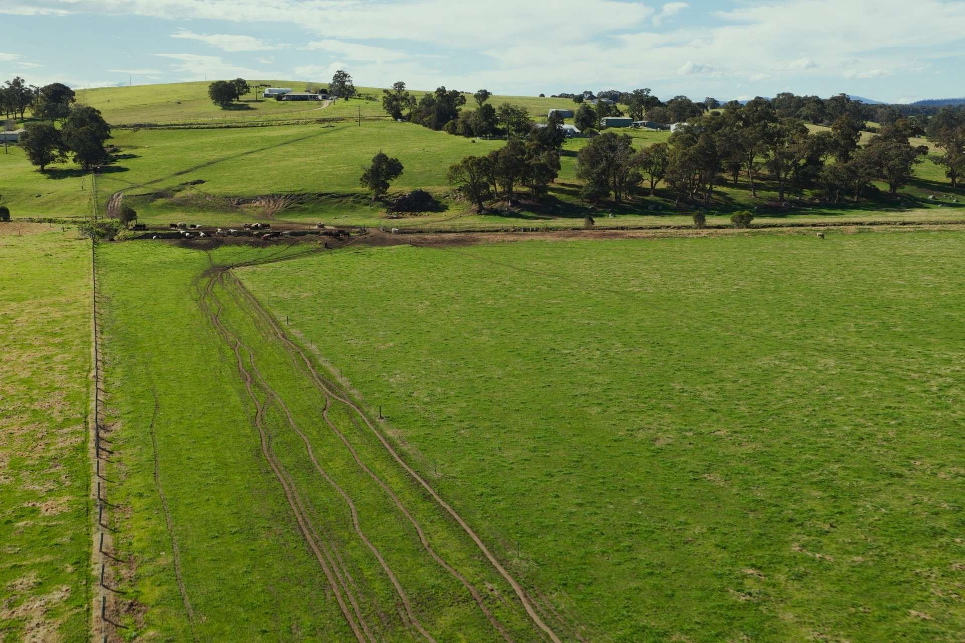 424 Princes Highway, Orbost Auction by Farmbuy.com - image 8
