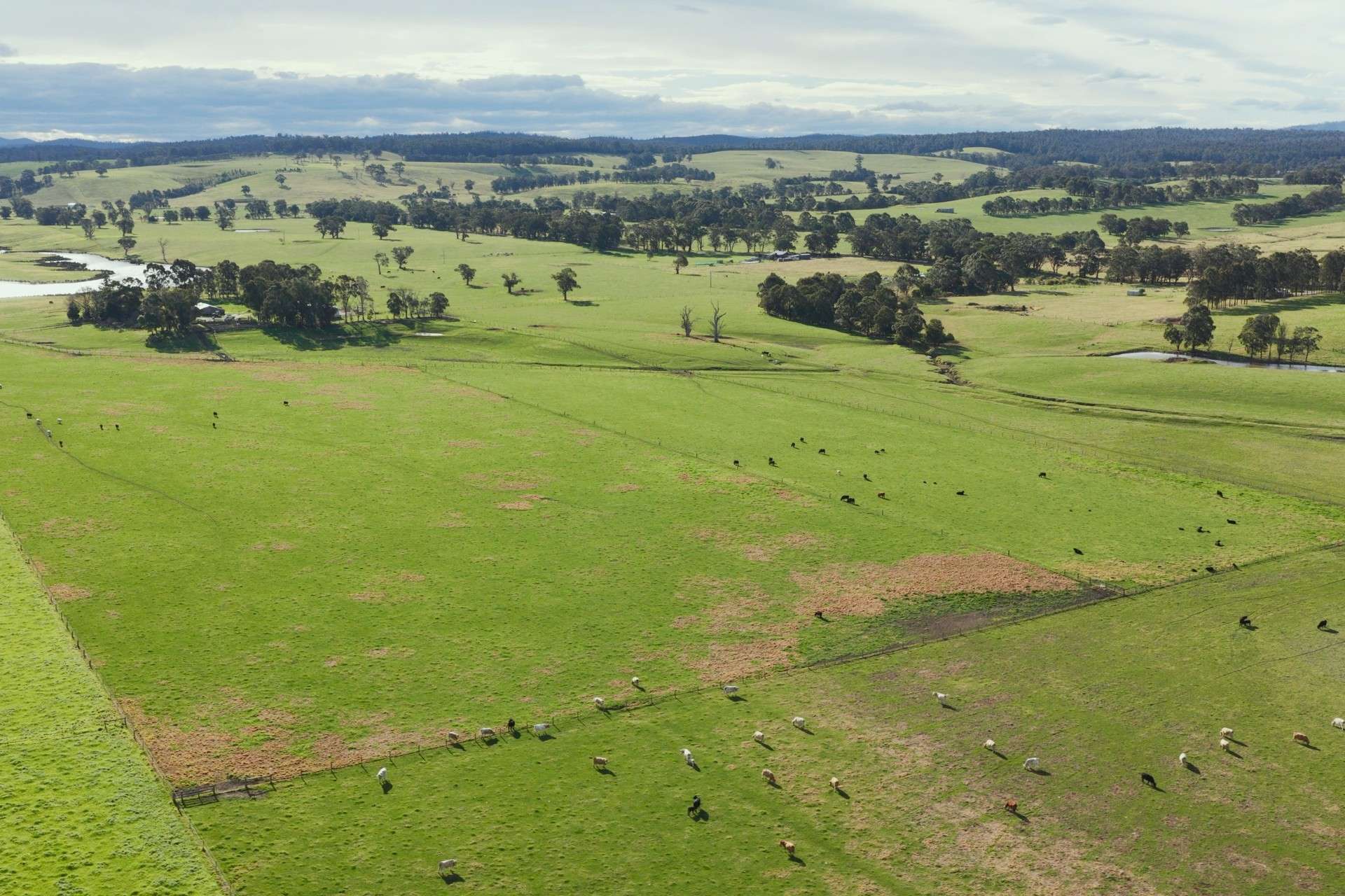 642 B Road, Jarrahmond Auction by Farmbuy.com - image 1