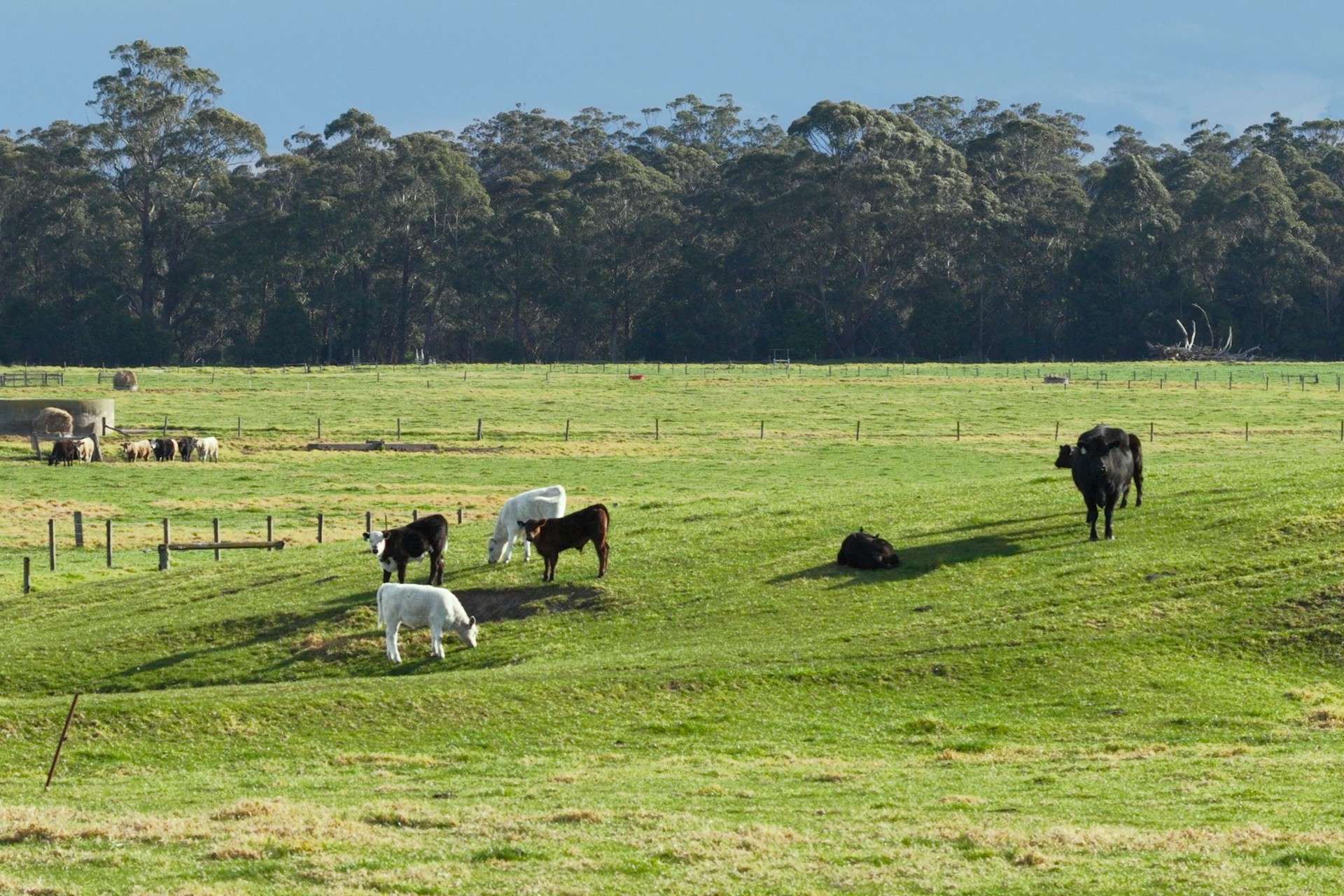 642 B Road, Jarrahmond Auction by Farmbuy.com - image 7