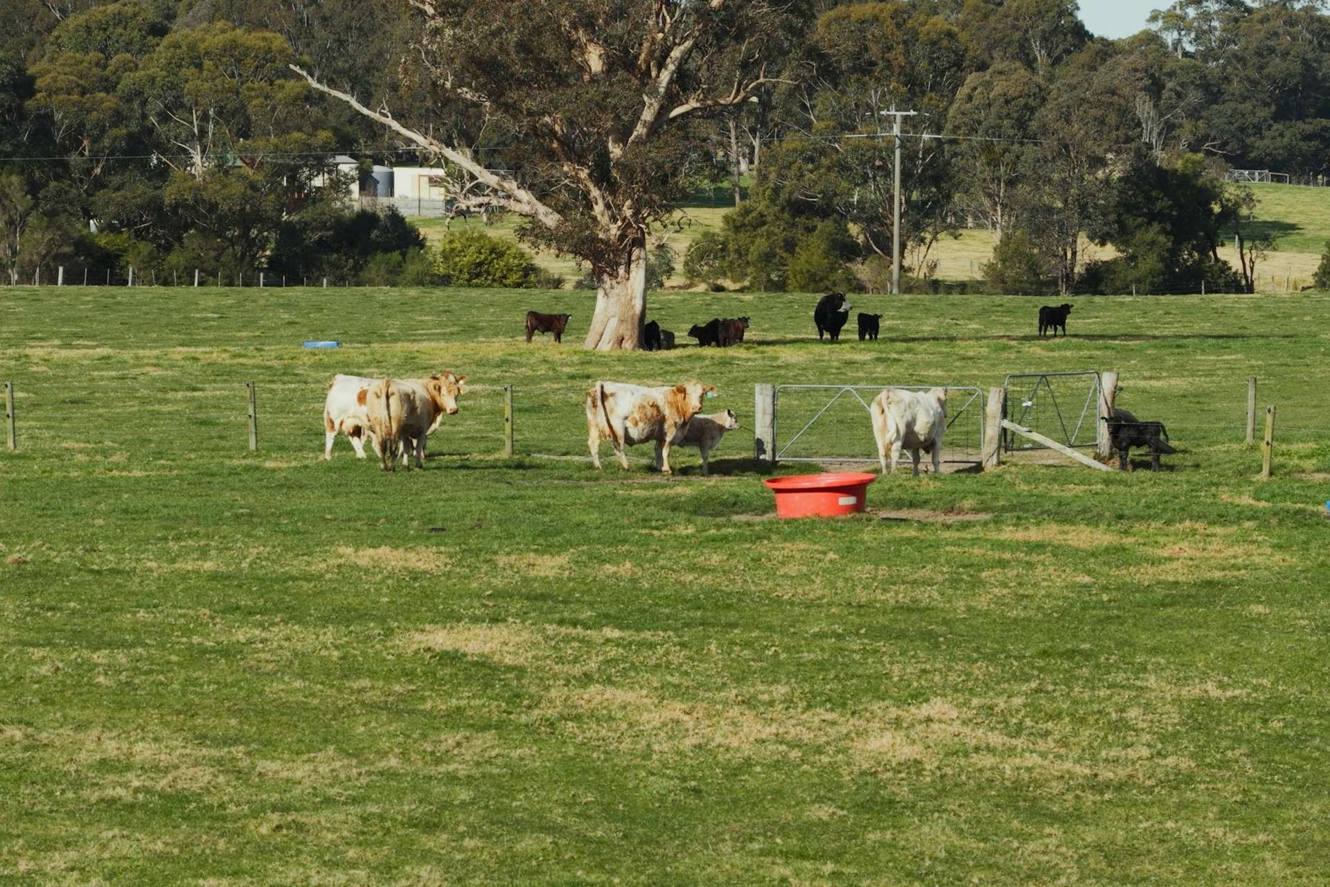 642 B Road, Jarrahmond Auction by Farmbuy.com - image 13