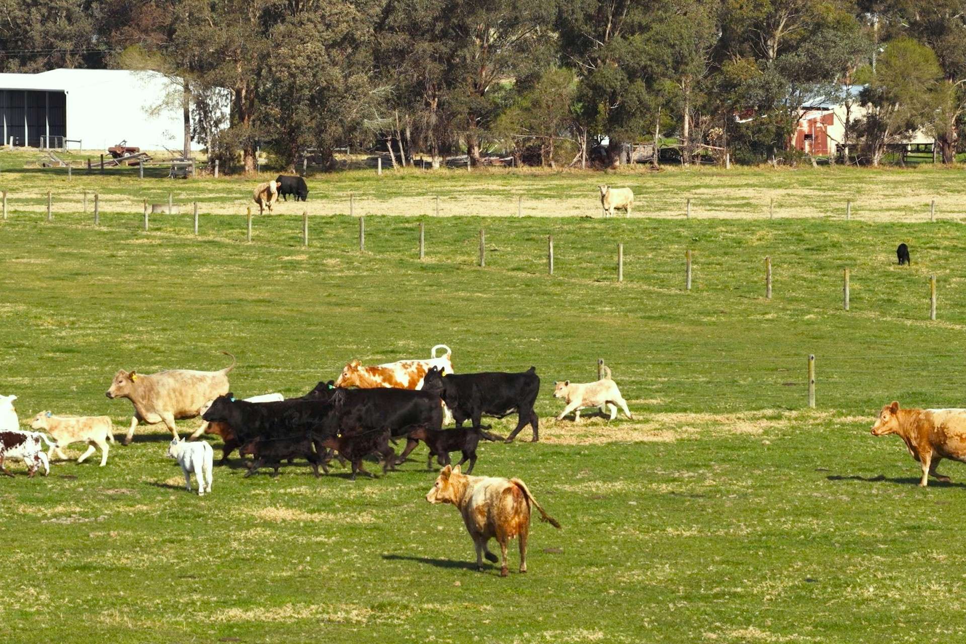 642 B Road, Jarrahmond Auction by Farmbuy.com - image 10
