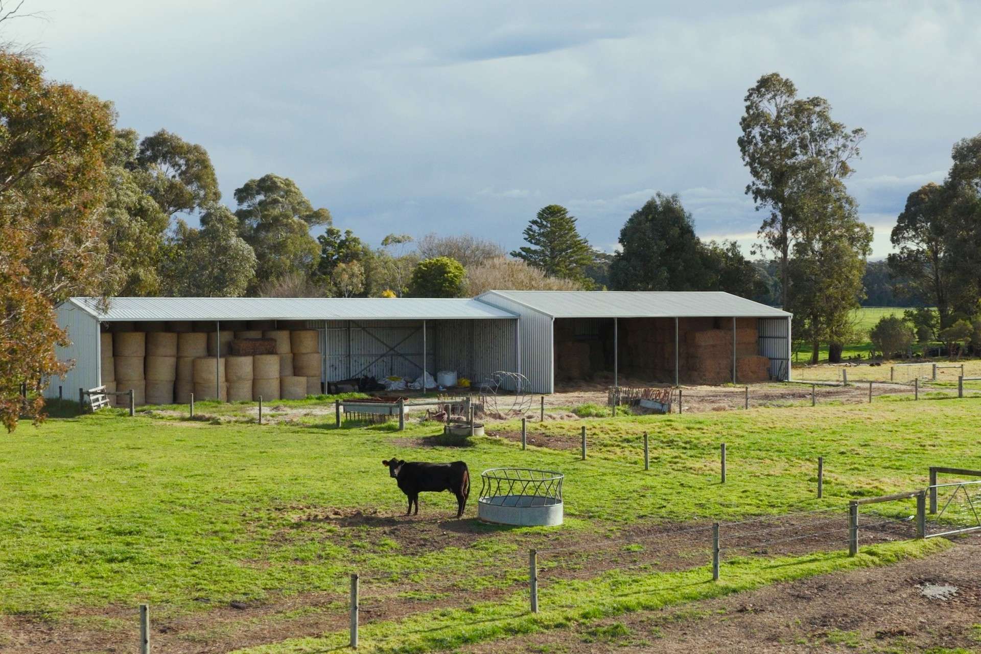642 B Road, Jarrahmond Auction by Farmbuy.com - image 2