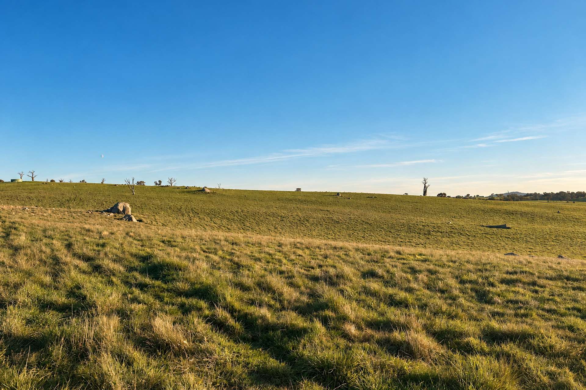 Walmsley Road, Gunning For Sale by Farmbuy.com - image 14