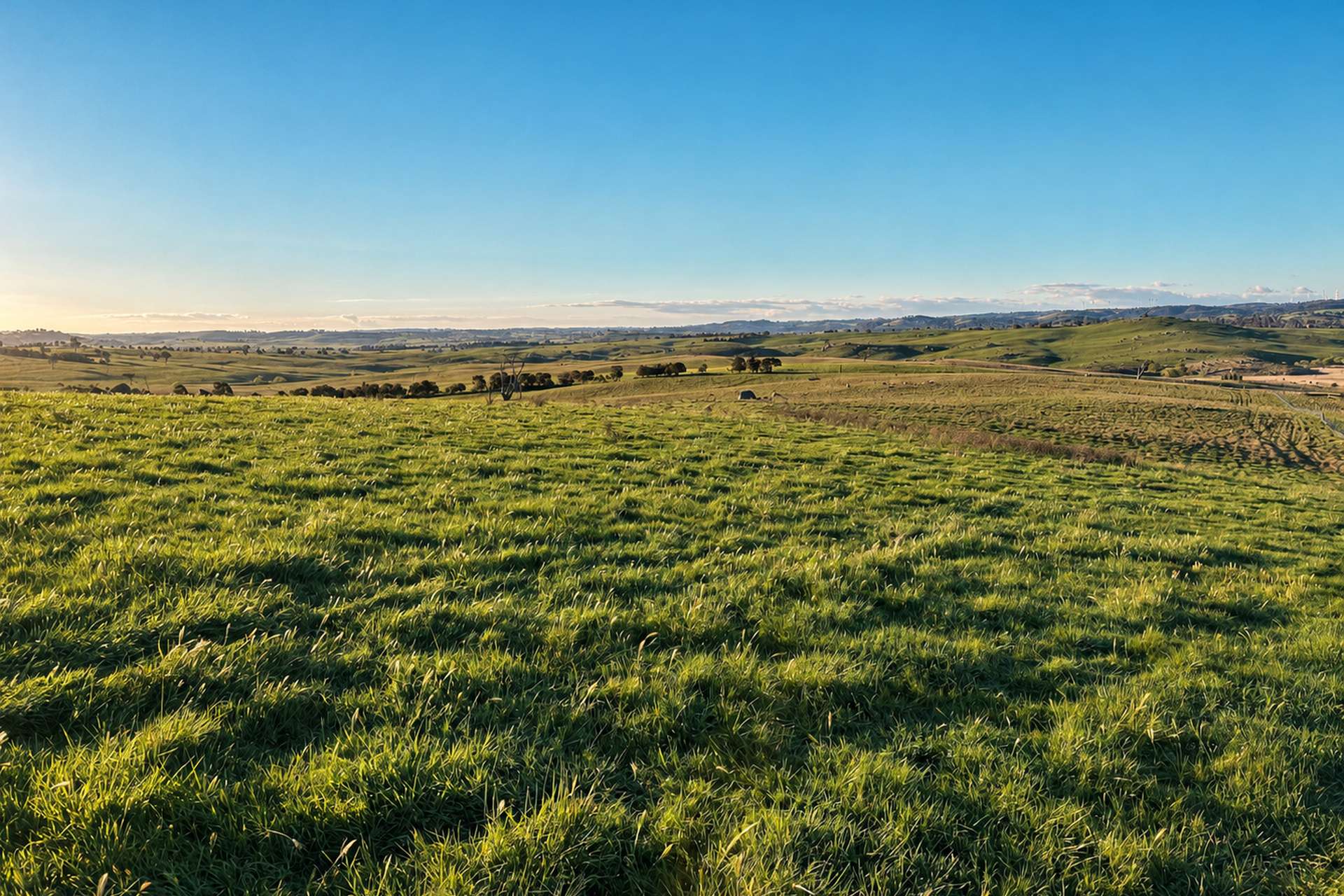 Walmsley Road, Gunning For Sale by Farmbuy.com - image 13