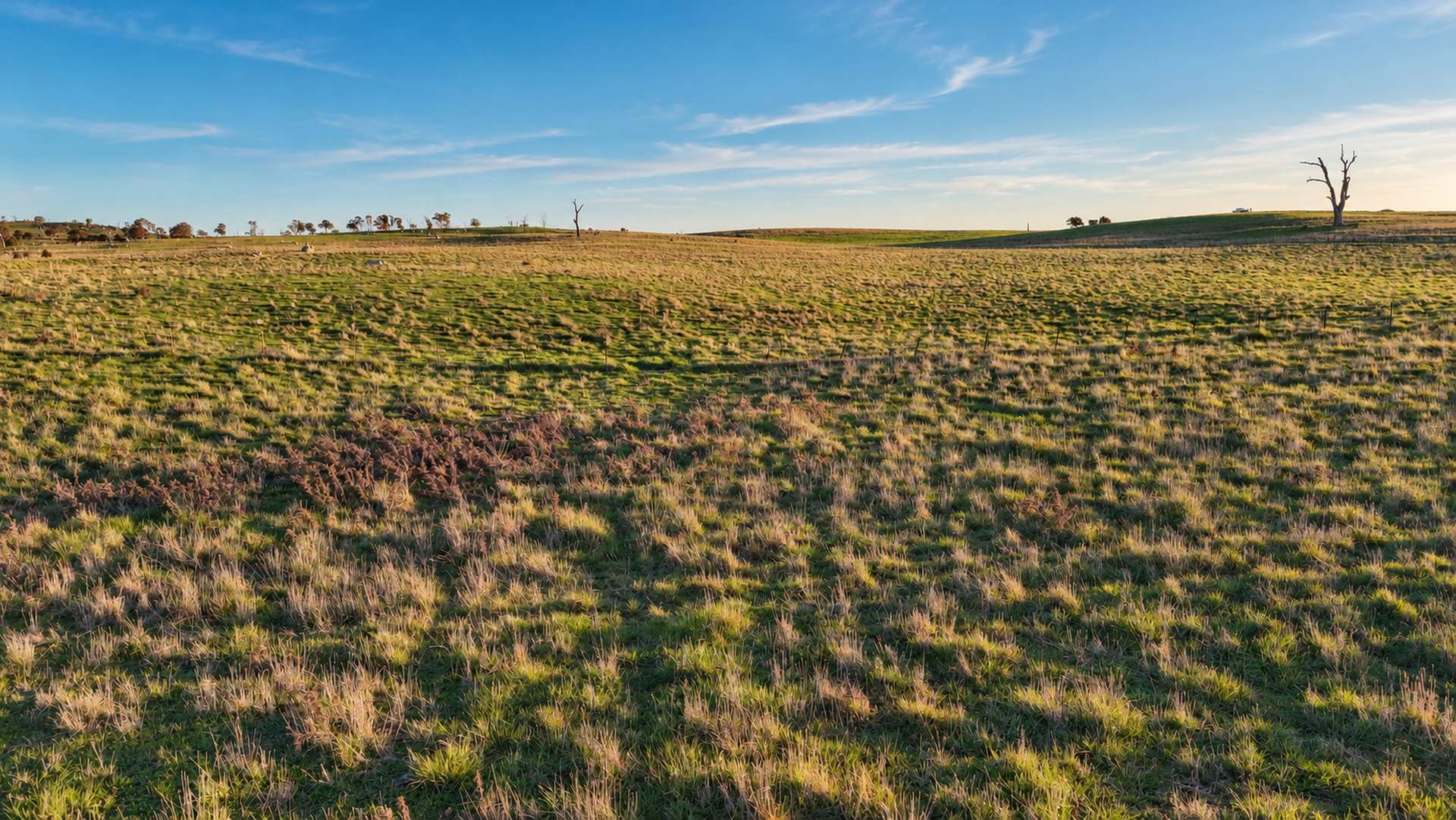 Walmsley Road, Gunning For Sale by Farmbuy.com - image 5