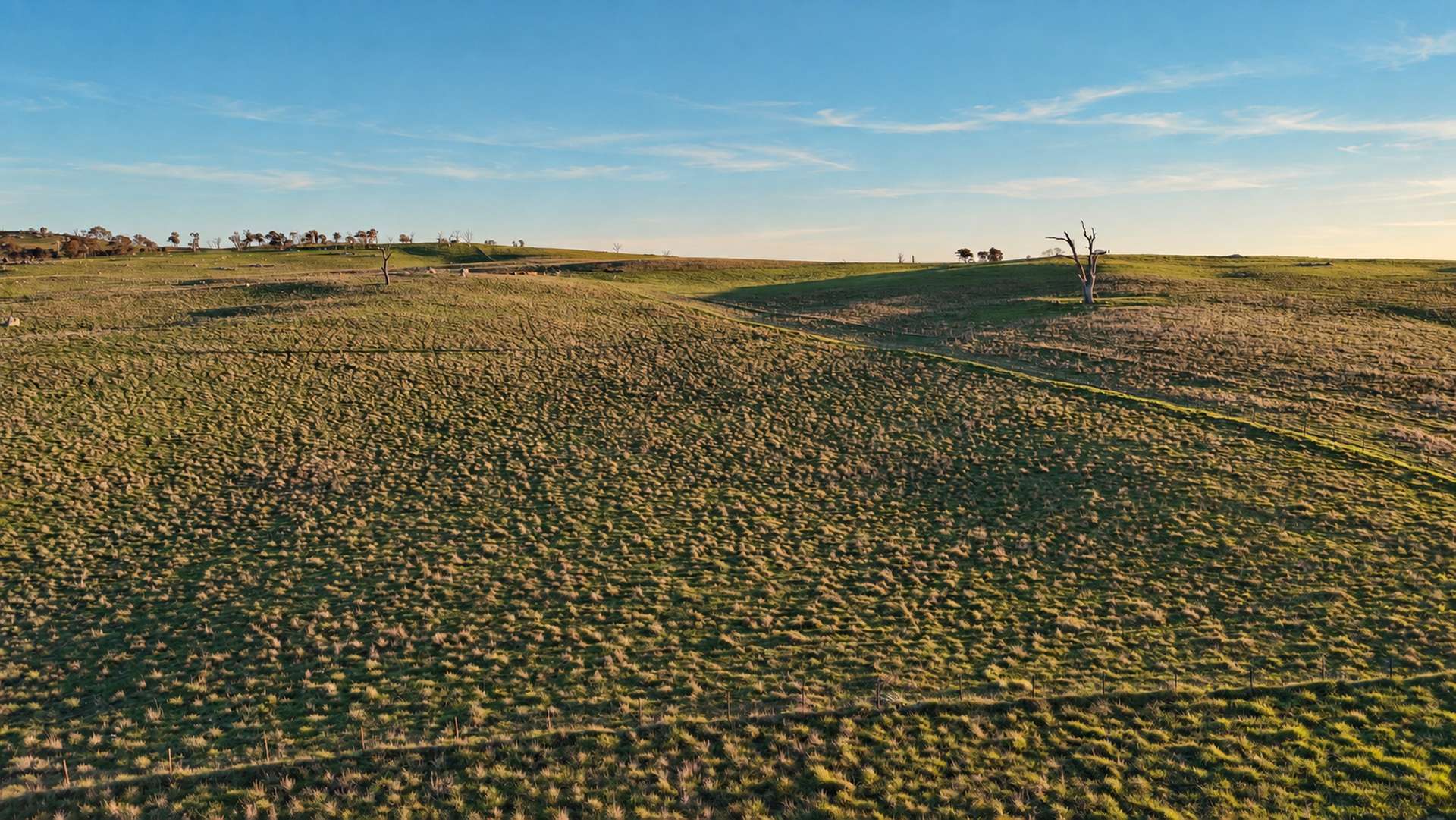 Walmsley Road, Gunning For Sale by Farmbuy.com - image 6