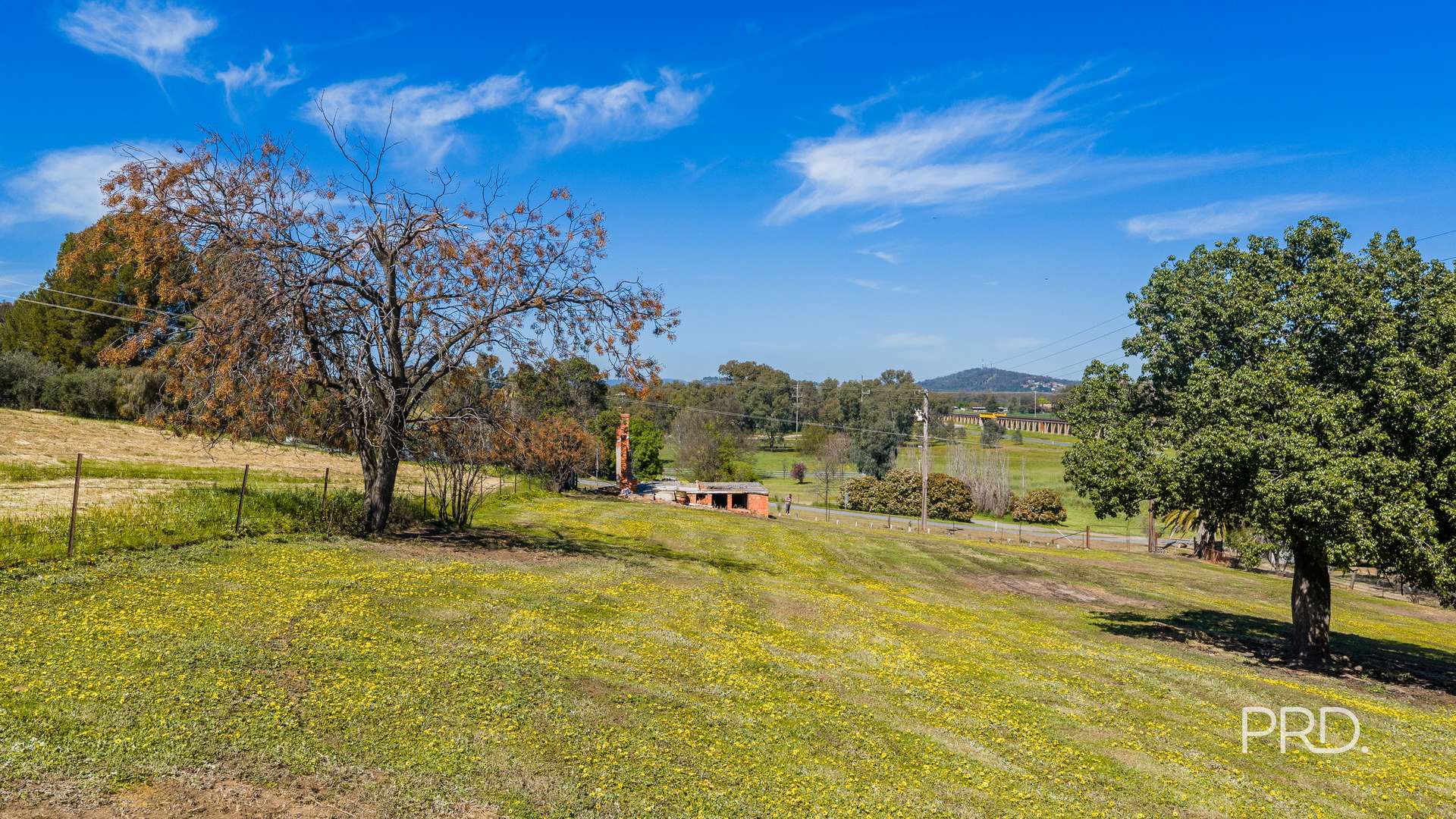41 Hillary Street, North Wagga Wagga For Sale by Farmbuy.com - image 6