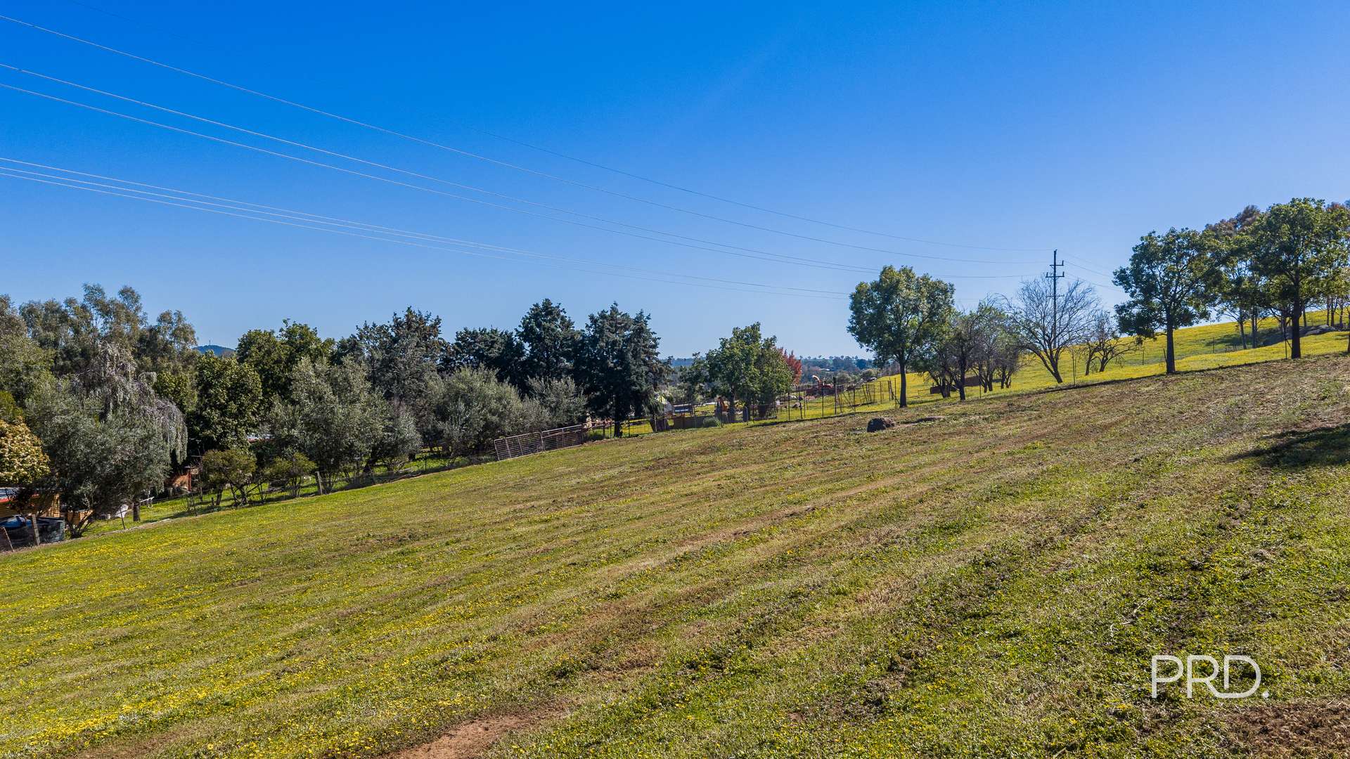 41 Hillary Street, North Wagga Wagga For Sale by Farmbuy.com - image 5