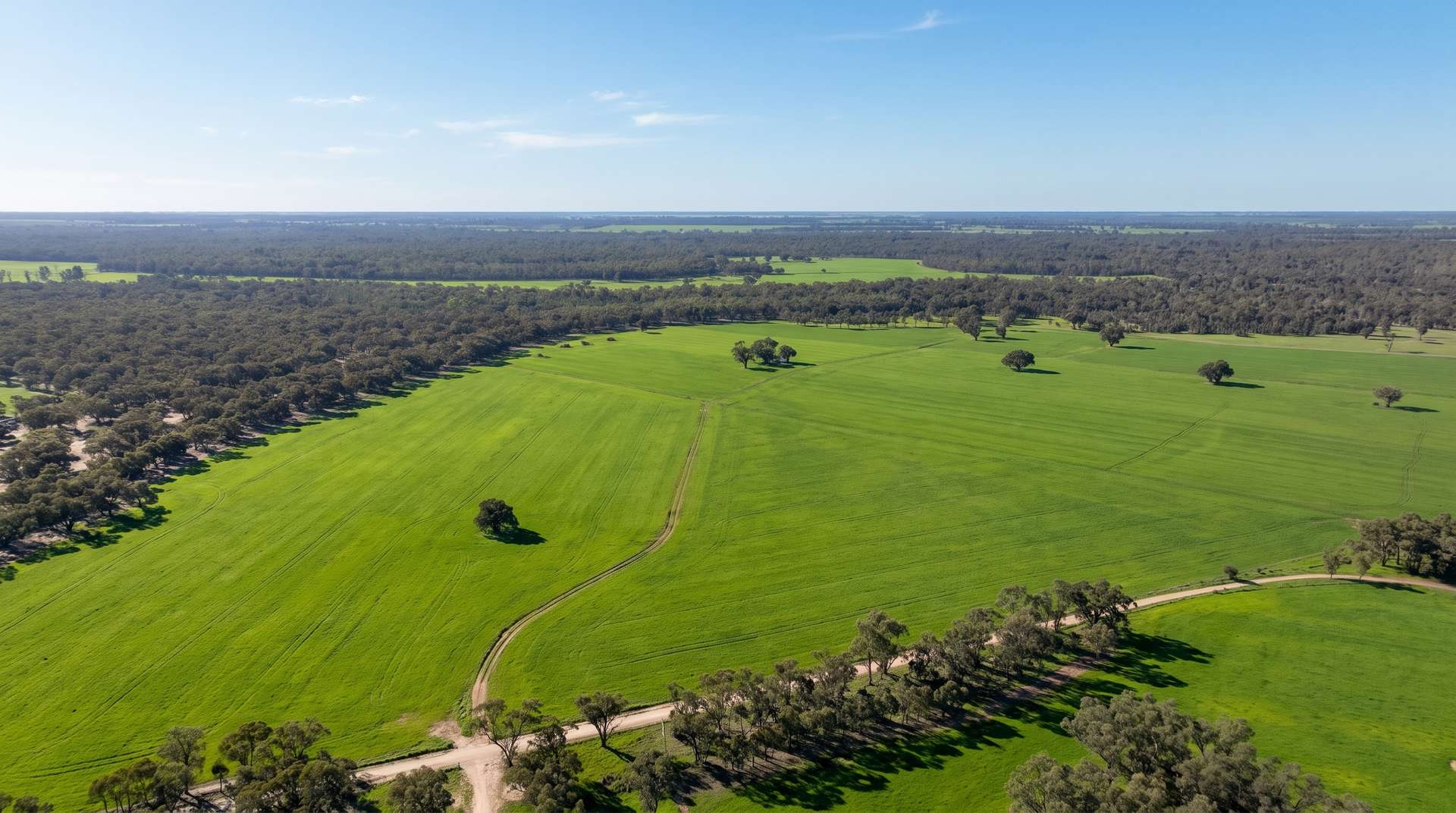 382 Sandy Bridge Road, Barham For Sale by Farmbuy.com - image 8