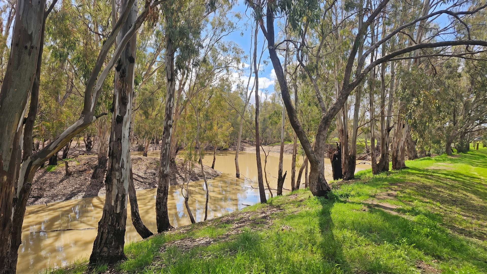 382 Sandy Bridge Road, Barham For Sale by Farmbuy.com - image 20