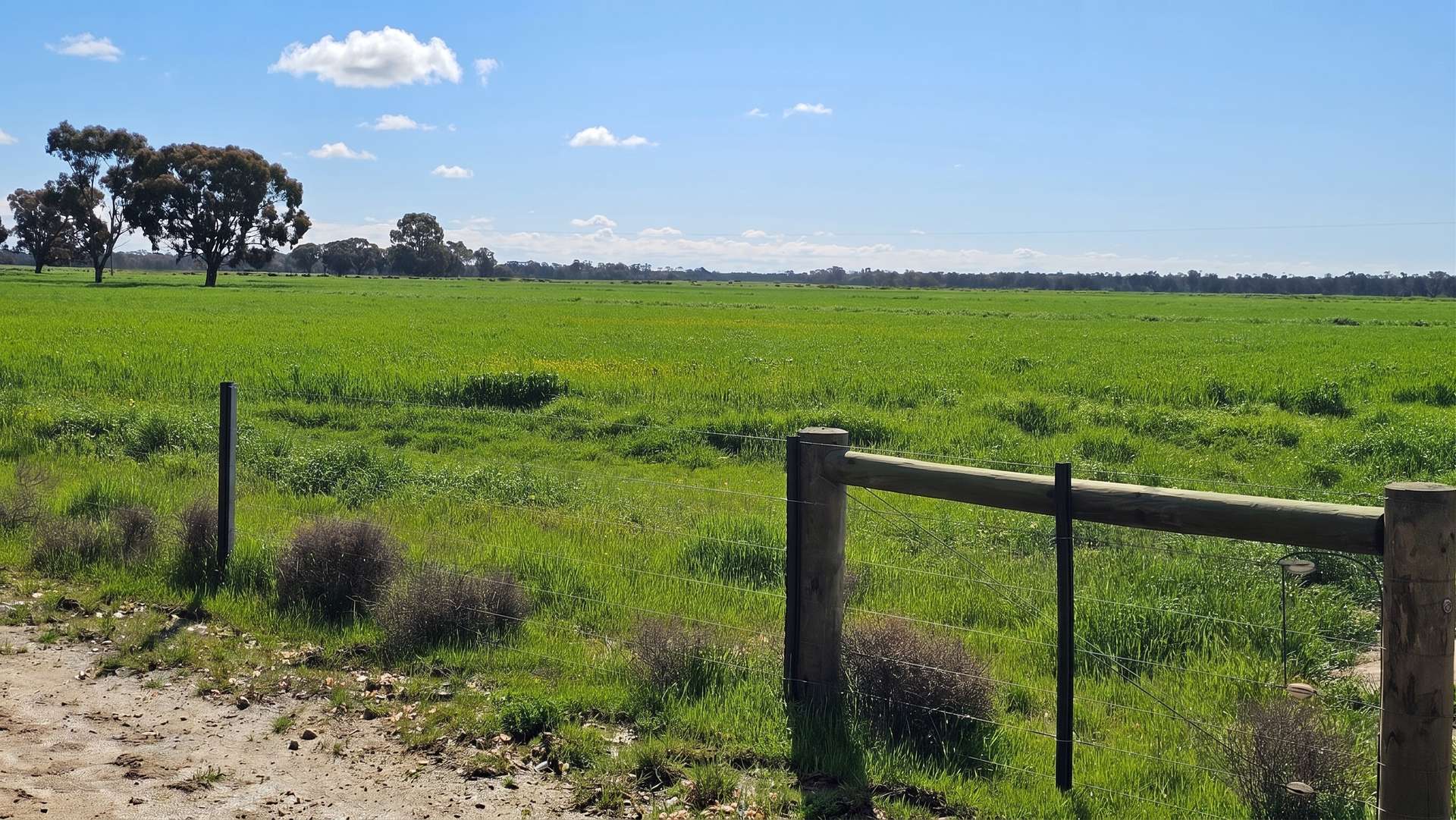 382 Sandy Bridge Road, Barham For Sale by Farmbuy.com - image 16