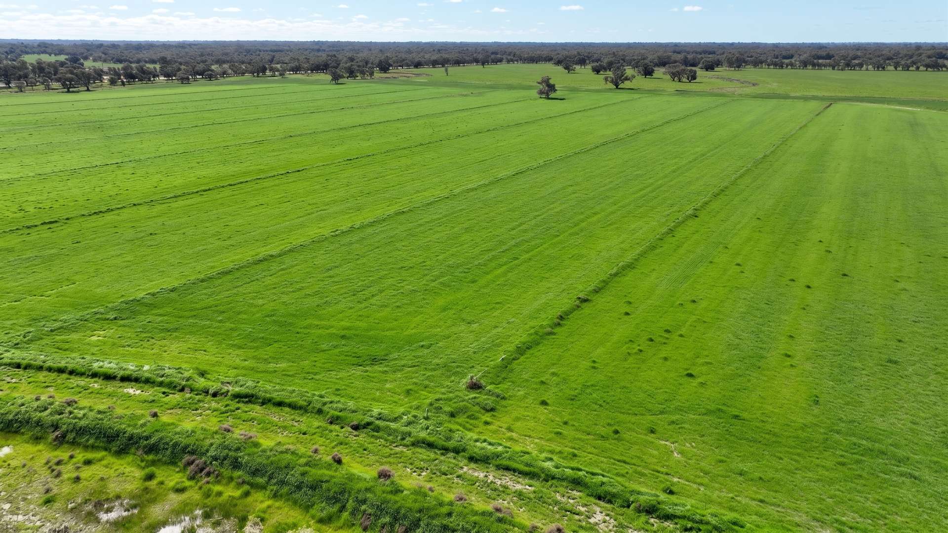 382 Sandy Bridge Road, Barham For Sale by Farmbuy.com - image 13
