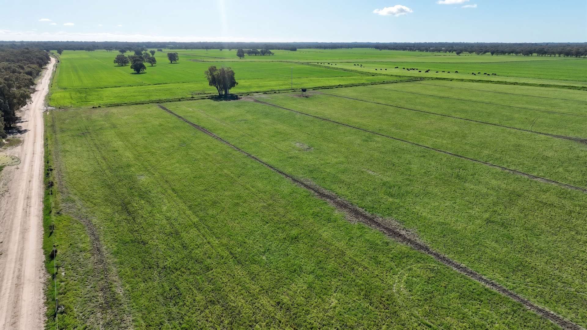 382 Sandy Bridge Road, Barham For Sale by Farmbuy.com - image 12