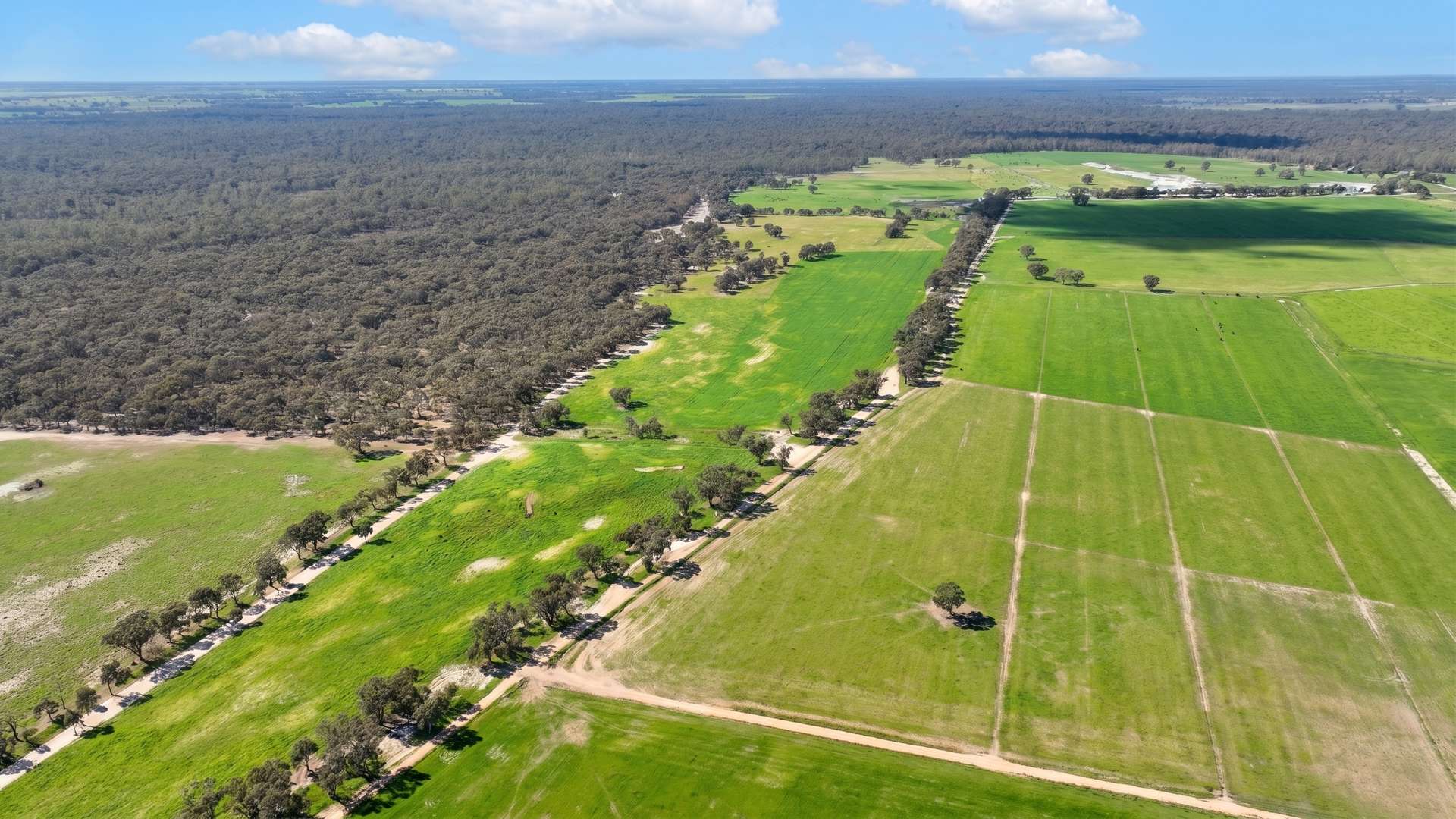 382 Sandy Bridge Road, Barham For Sale by Farmbuy.com - image 11