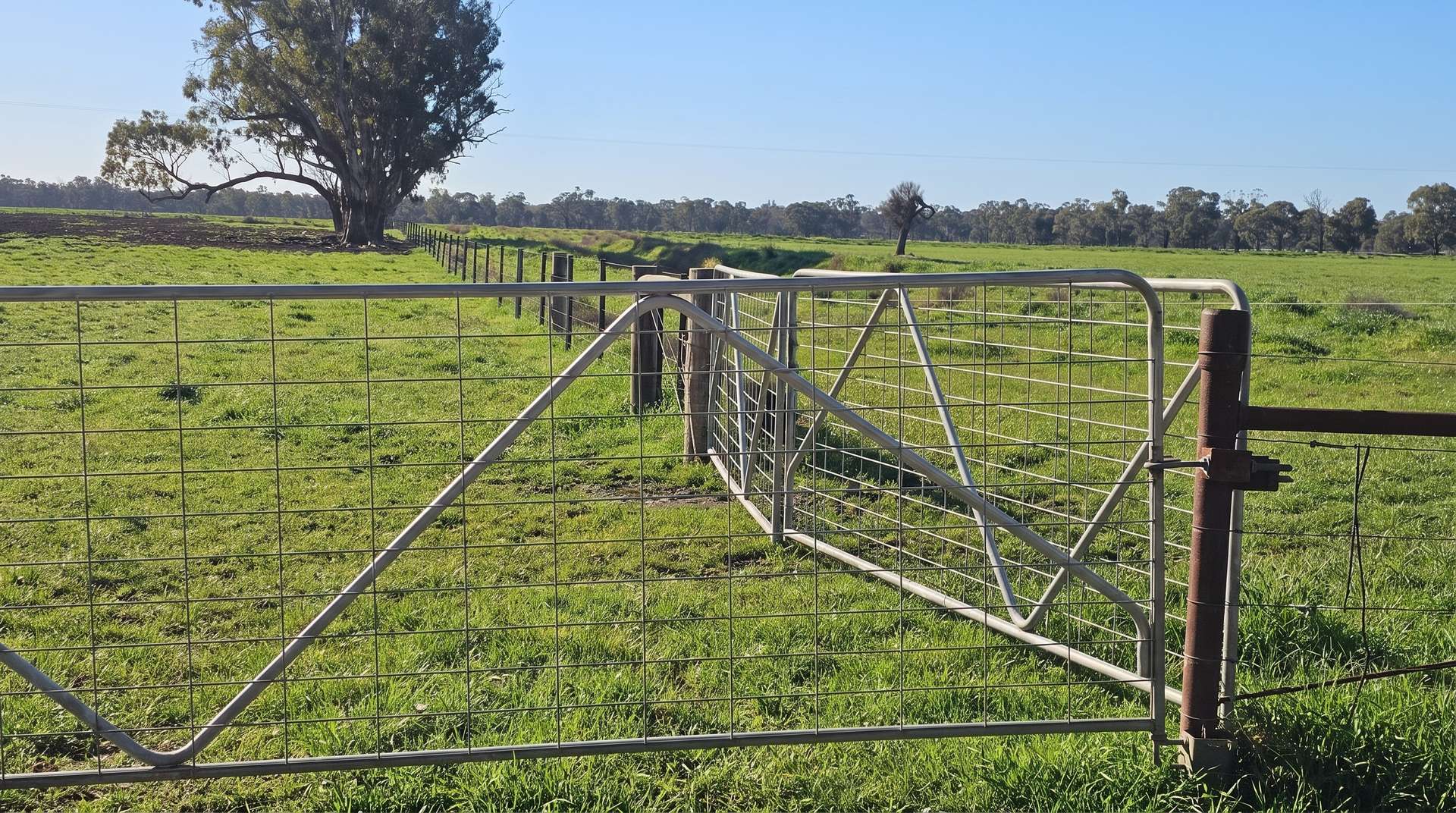 382 Sandy Bridge Road, Barham For Sale by Farmbuy.com - image 15