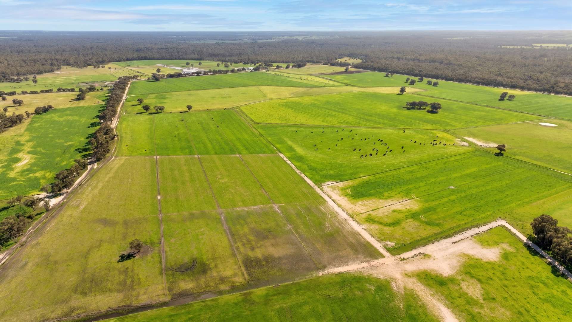 382 Sandy Bridge Road, Barham For Sale by Farmbuy.com - image 14