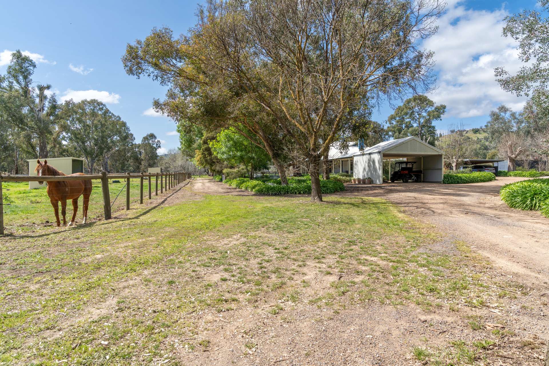 304 Sheans Creek Road, Euroa Auction by Farmbuy.com - image 10