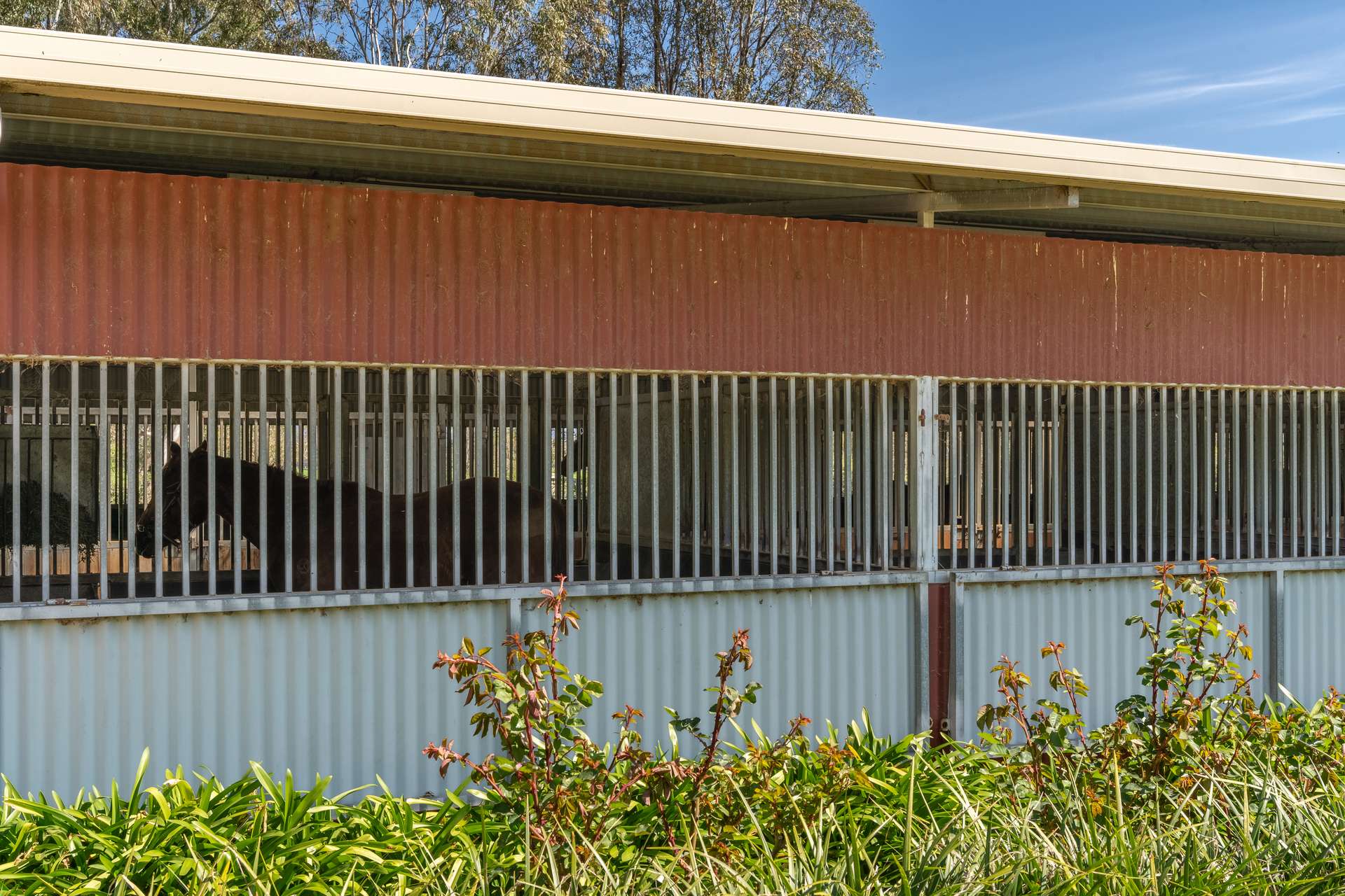 304 Sheans Creek Road, Euroa Auction by Farmbuy.com - image 17