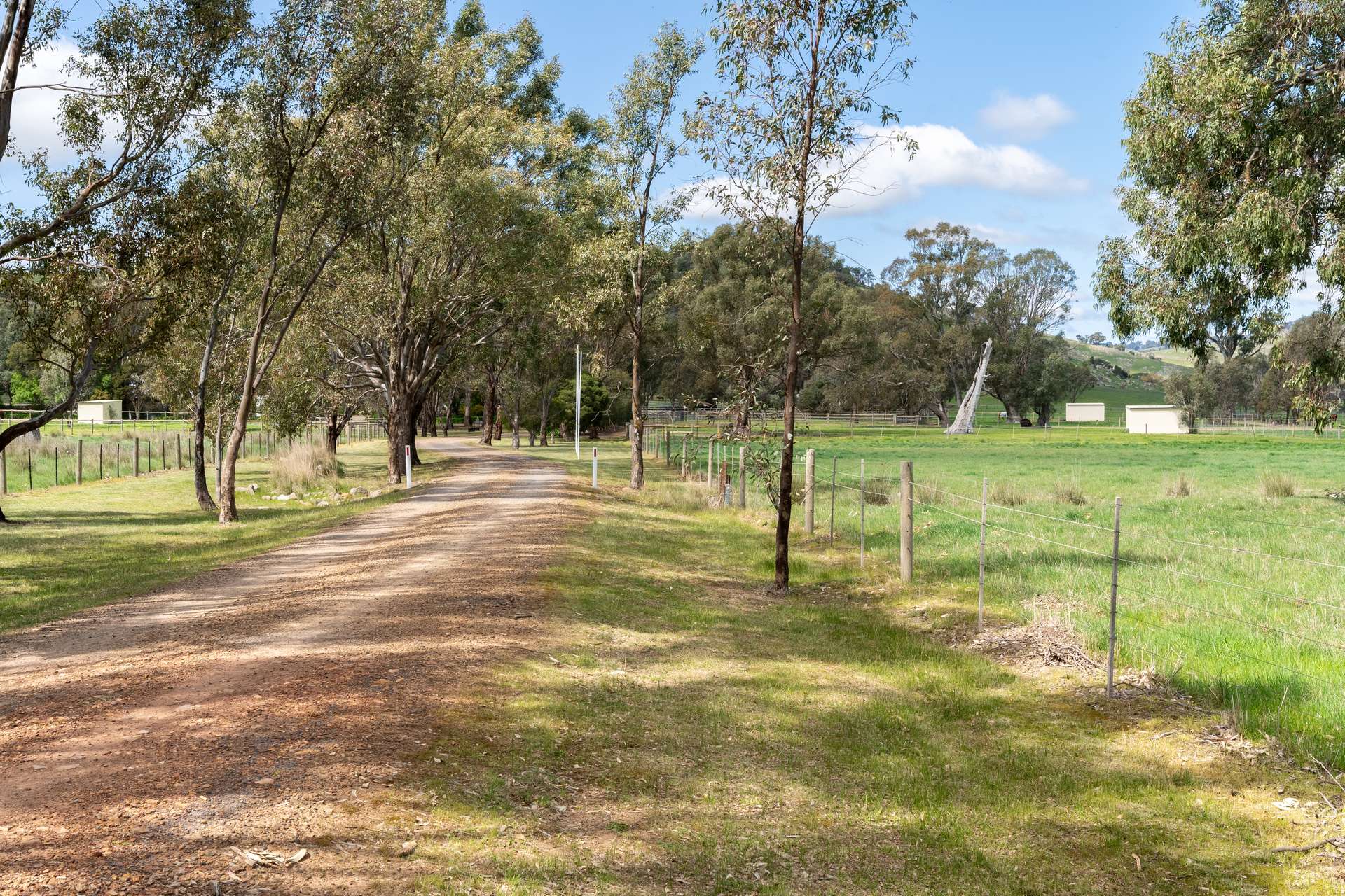 304 Sheans Creek Road, Euroa Auction by Farmbuy.com - image 7