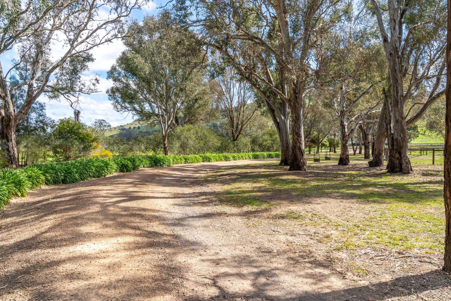 304 Sheans Creek Road, Euroa Auction by Farmbuy.com - image 8