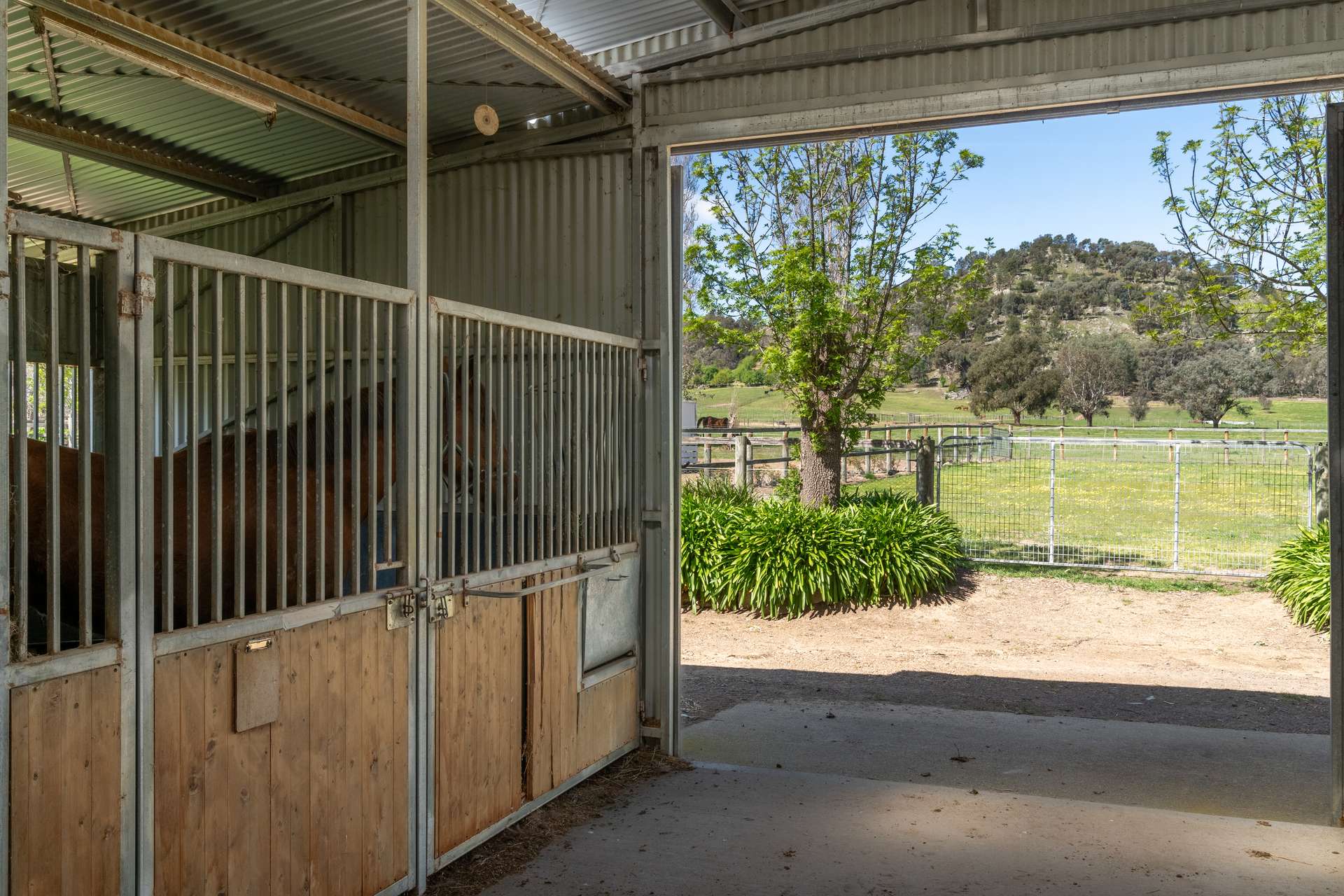 304 Sheans Creek Road, Euroa Auction by Farmbuy.com - image 18