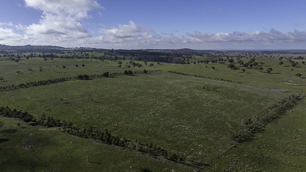 133 Bellbrook East Road, Armidale NSW 2350