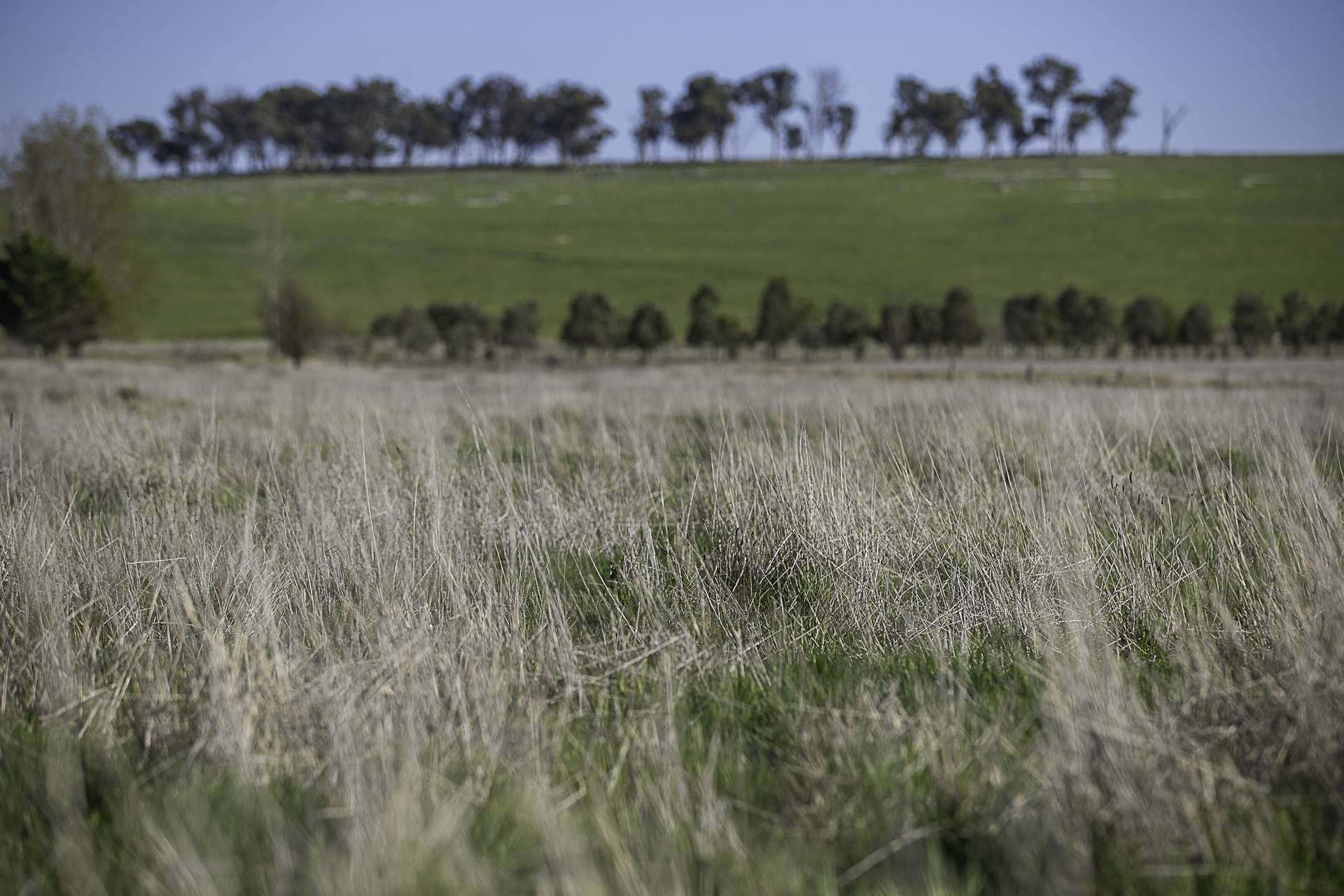 133 Bellbrook East Road, Armidale Auction by Farmbuy.com - image 18