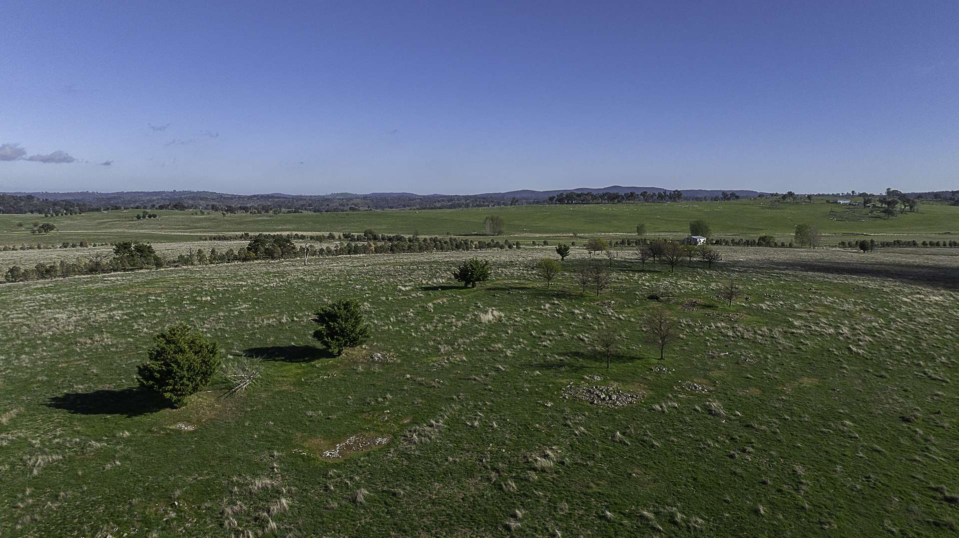 133 Bellbrook East Road, Armidale Auction by Farmbuy.com - image 5