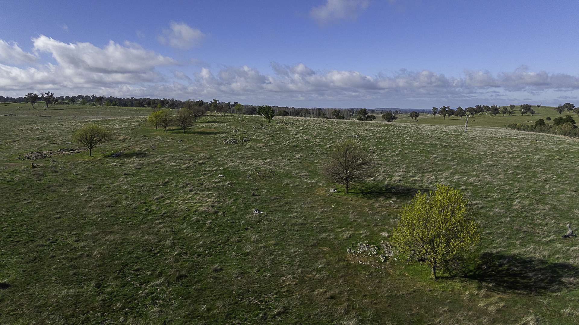 133 Bellbrook East Road, Armidale Auction by Farmbuy.com - image 15