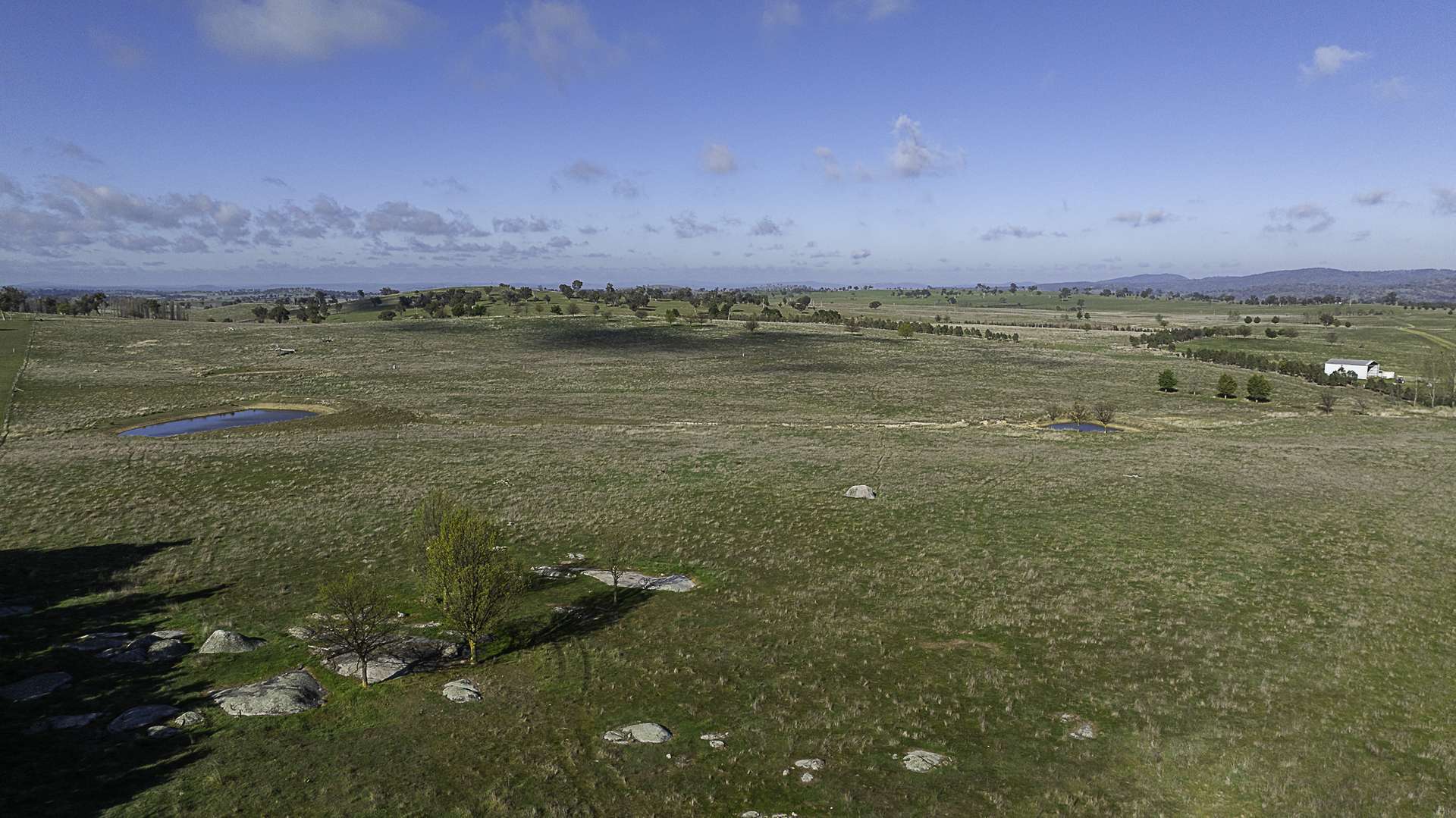 133 Bellbrook East Road, Armidale Auction by Farmbuy.com - image 9