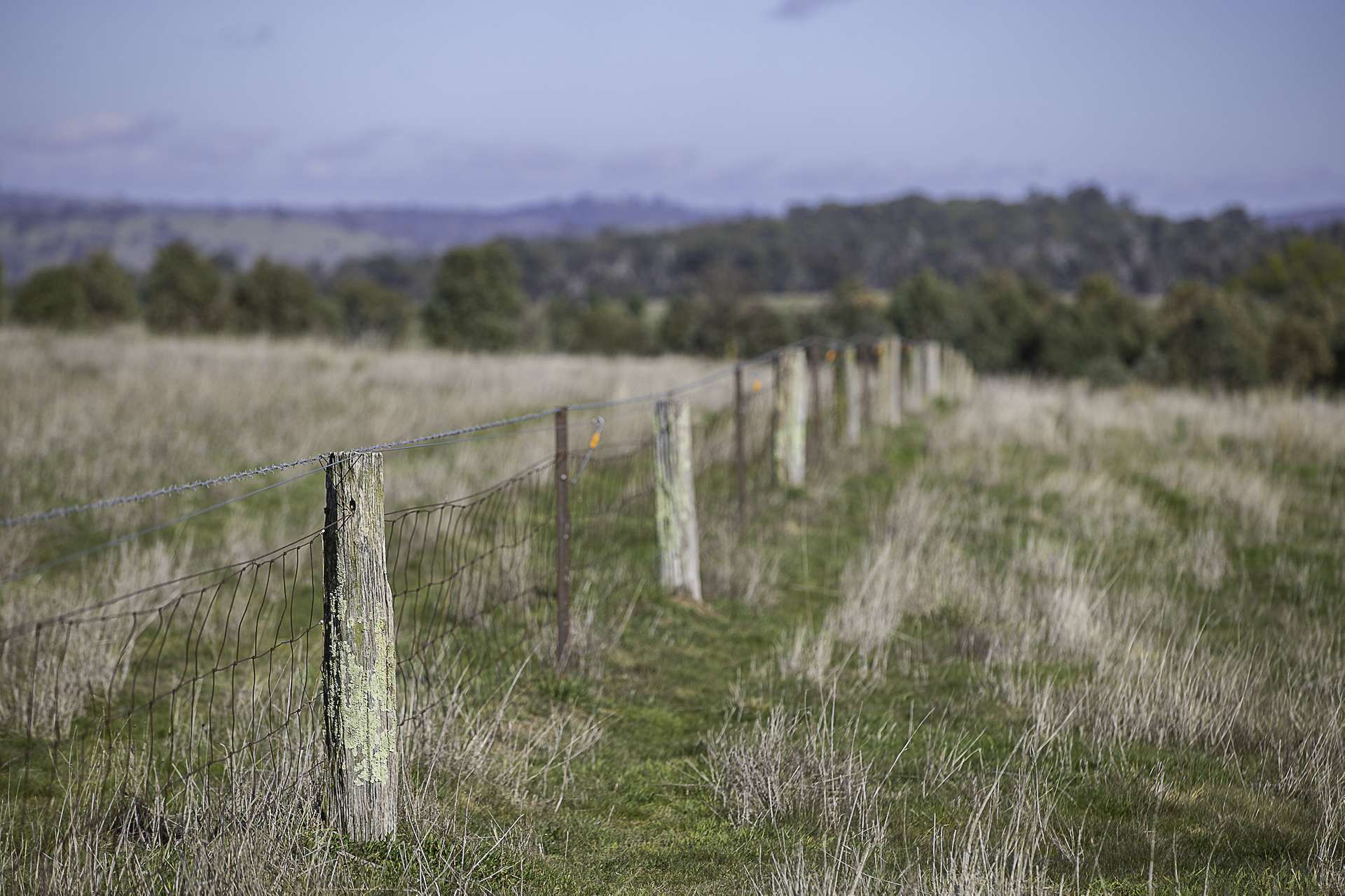 133 Bellbrook East Road, Armidale Auction by Farmbuy.com - image 19
