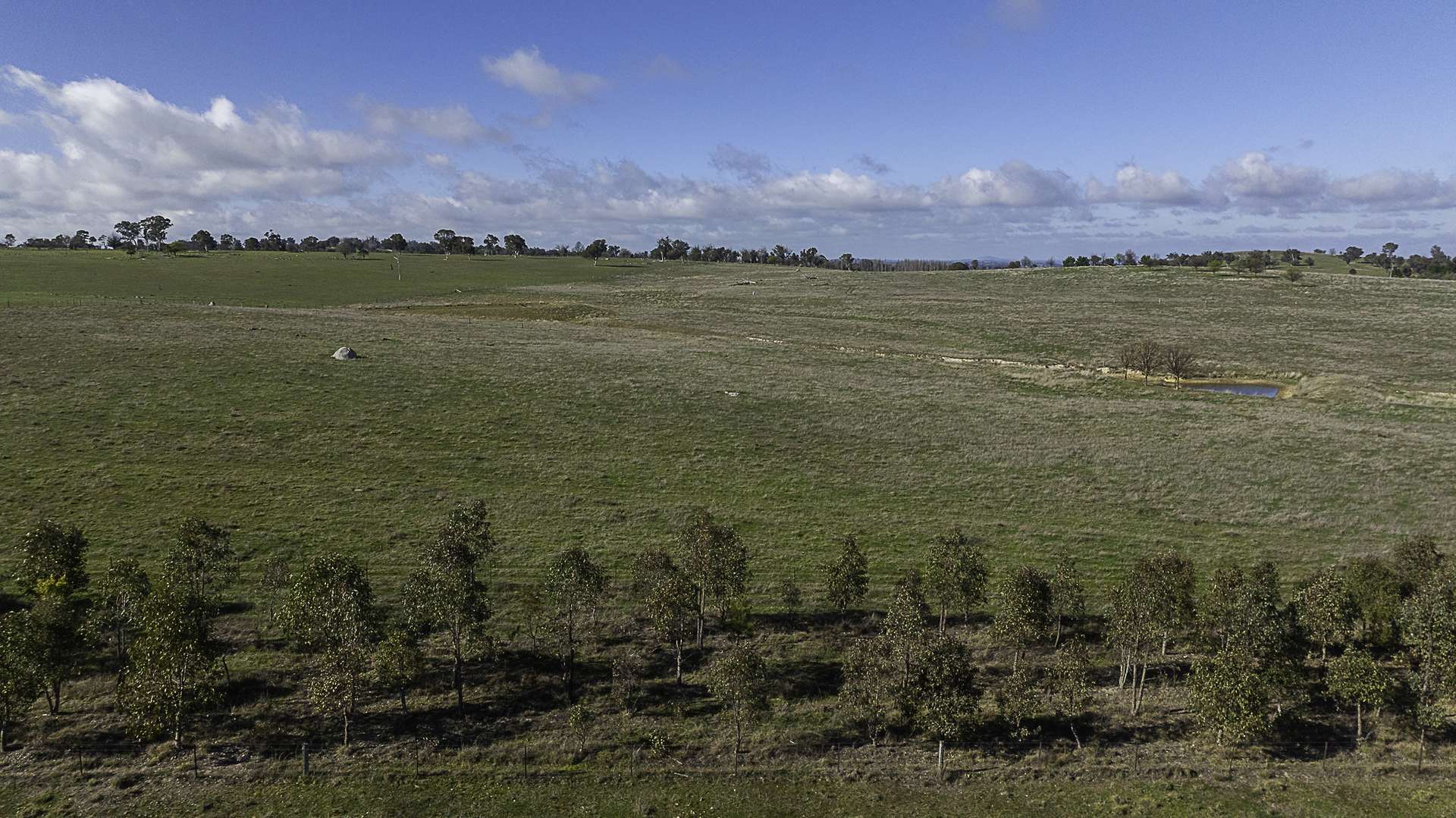 133 Bellbrook East Road, Armidale Auction by Farmbuy.com - image 16