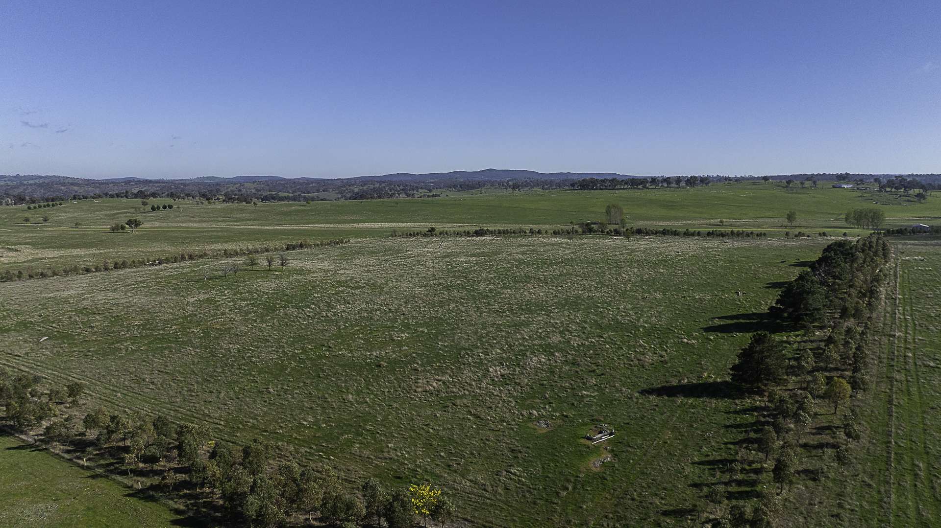 133 Bellbrook East Road, Armidale Auction by Farmbuy.com - image 2