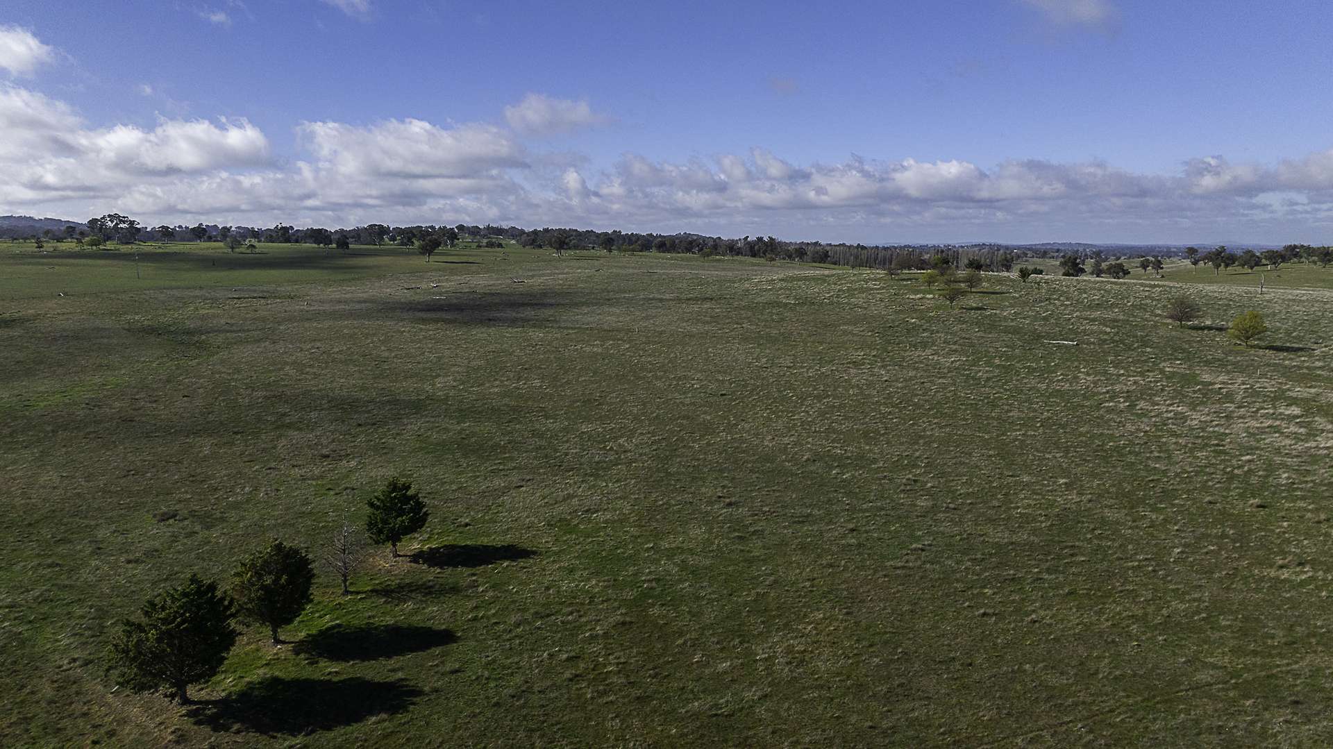 133 Bellbrook East Road, Armidale Auction by Farmbuy.com - image 14