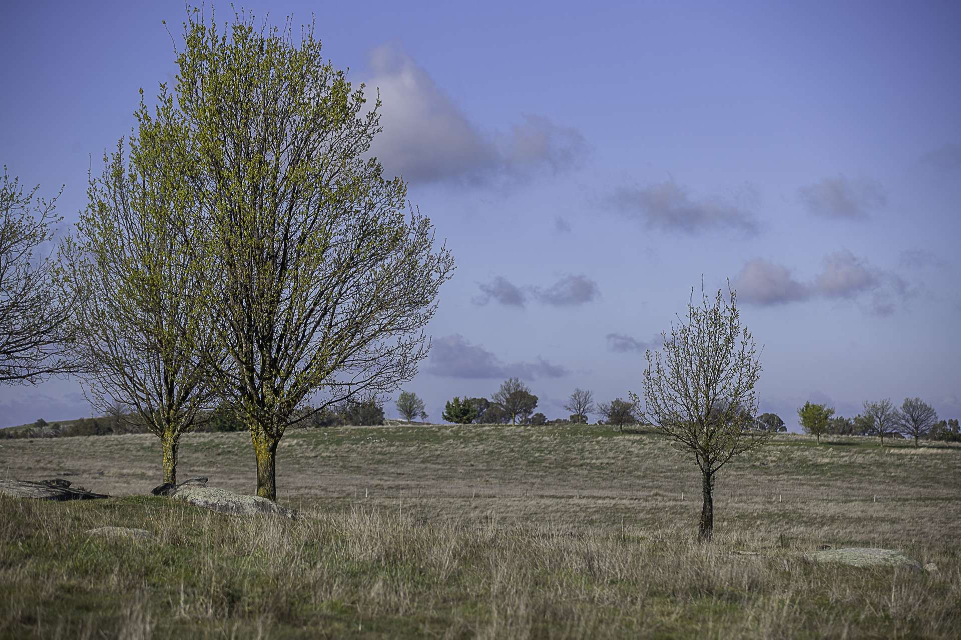 133 Bellbrook East Road, Armidale Auction by Farmbuy.com - image 6