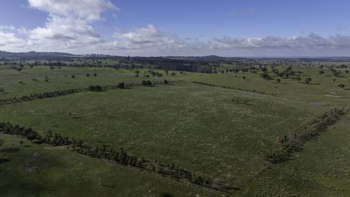 Farm Auction - NSW - Armidale - 2350 - "Rommel Hill" - More Than a Property. A Lifestyle 