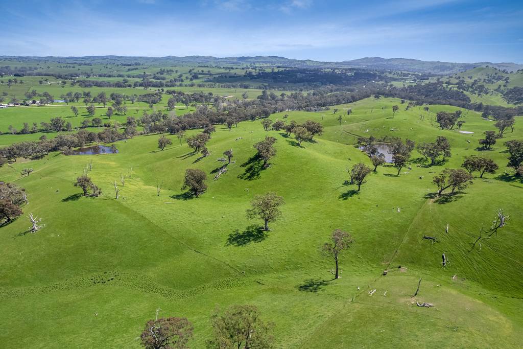 53A & 53K Northern Highway, Pyalong VIC 3521