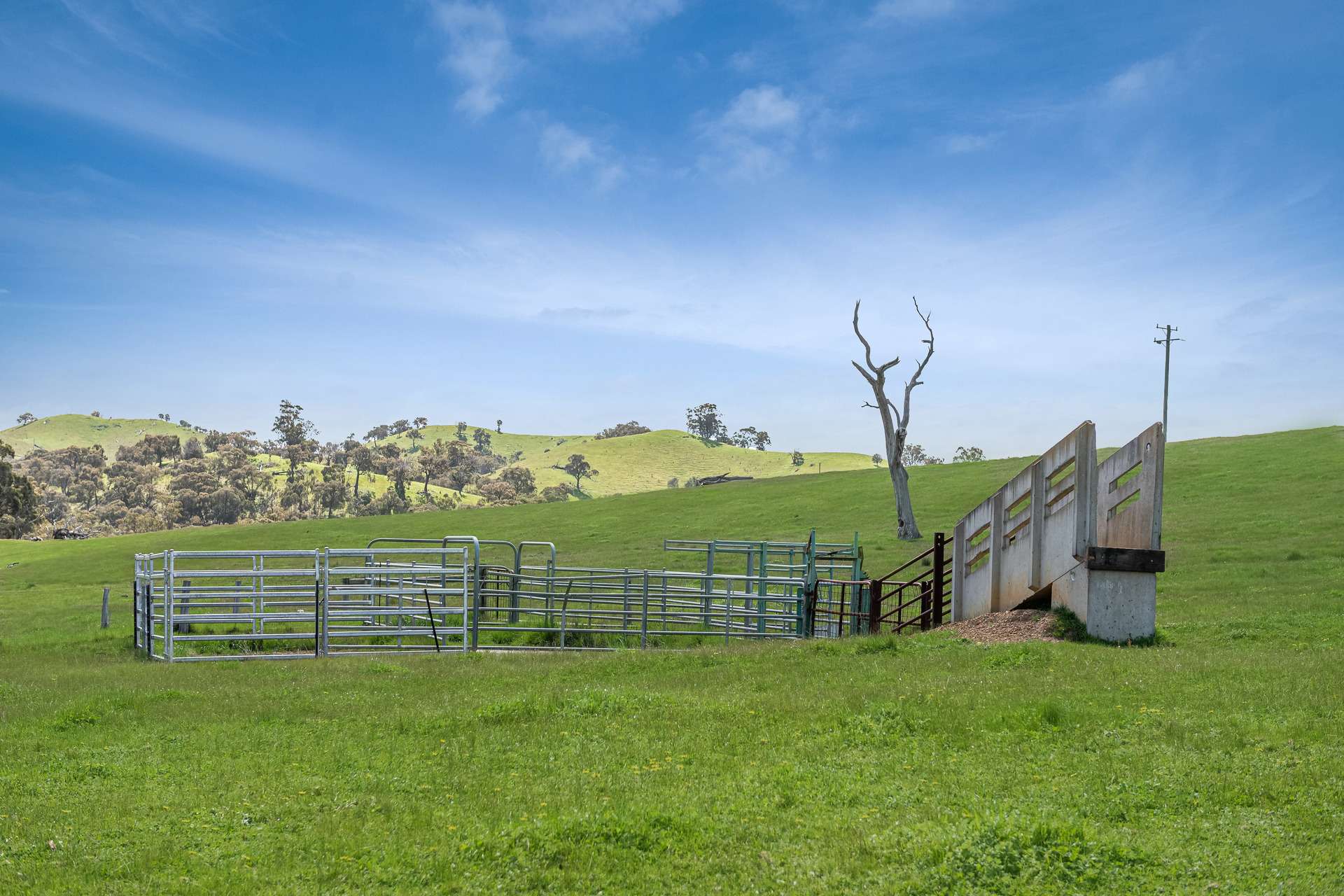 53A & 53K Northern Highway, Pyalong For Sale by Farmbuy.com - image 7