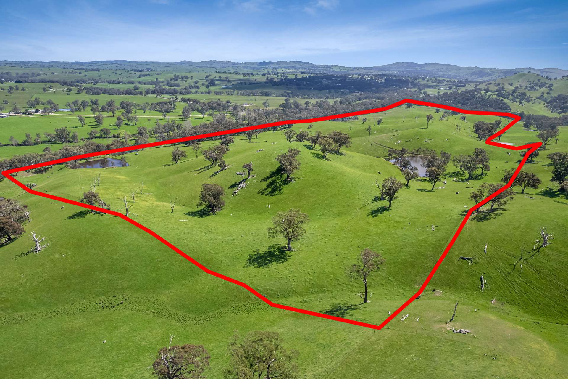 53A & 53K Northern Highway, Pyalong For Sale by Farmbuy.com - image 2