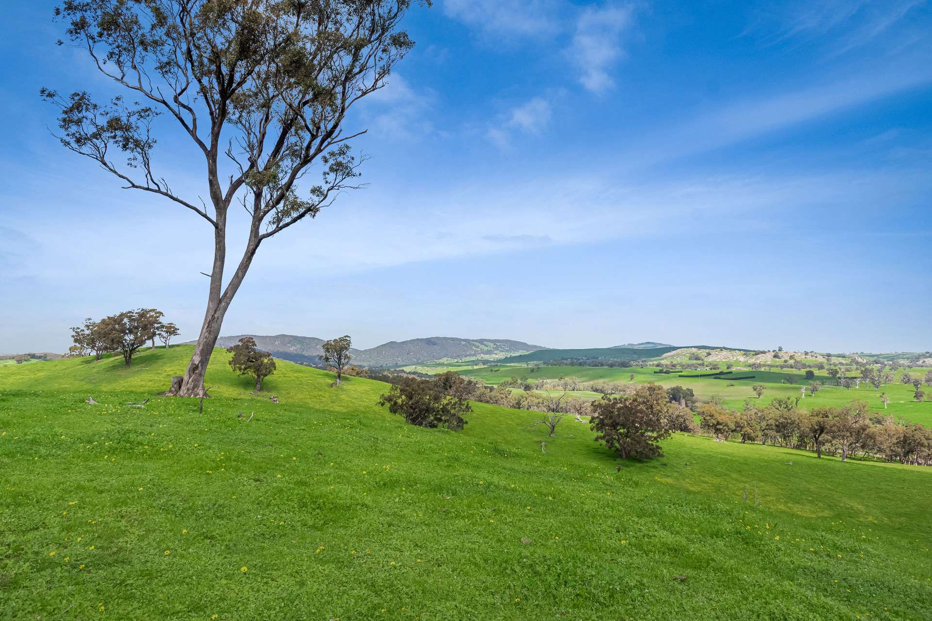 53A & 53K Northern Highway, Pyalong For Sale by Farmbuy.com - image 5