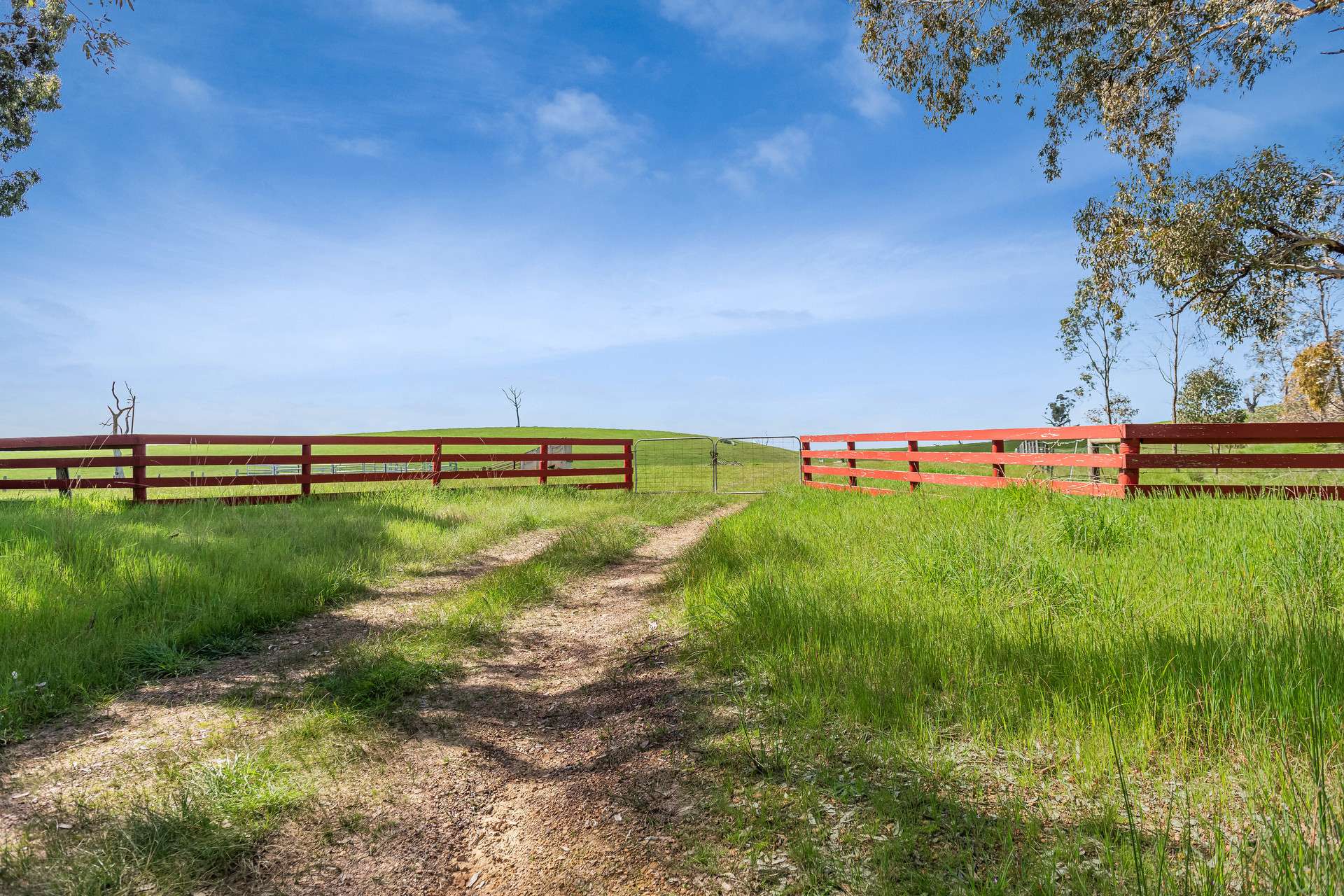 53A & 53K Northern Highway, Pyalong For Sale by Farmbuy.com - image 4