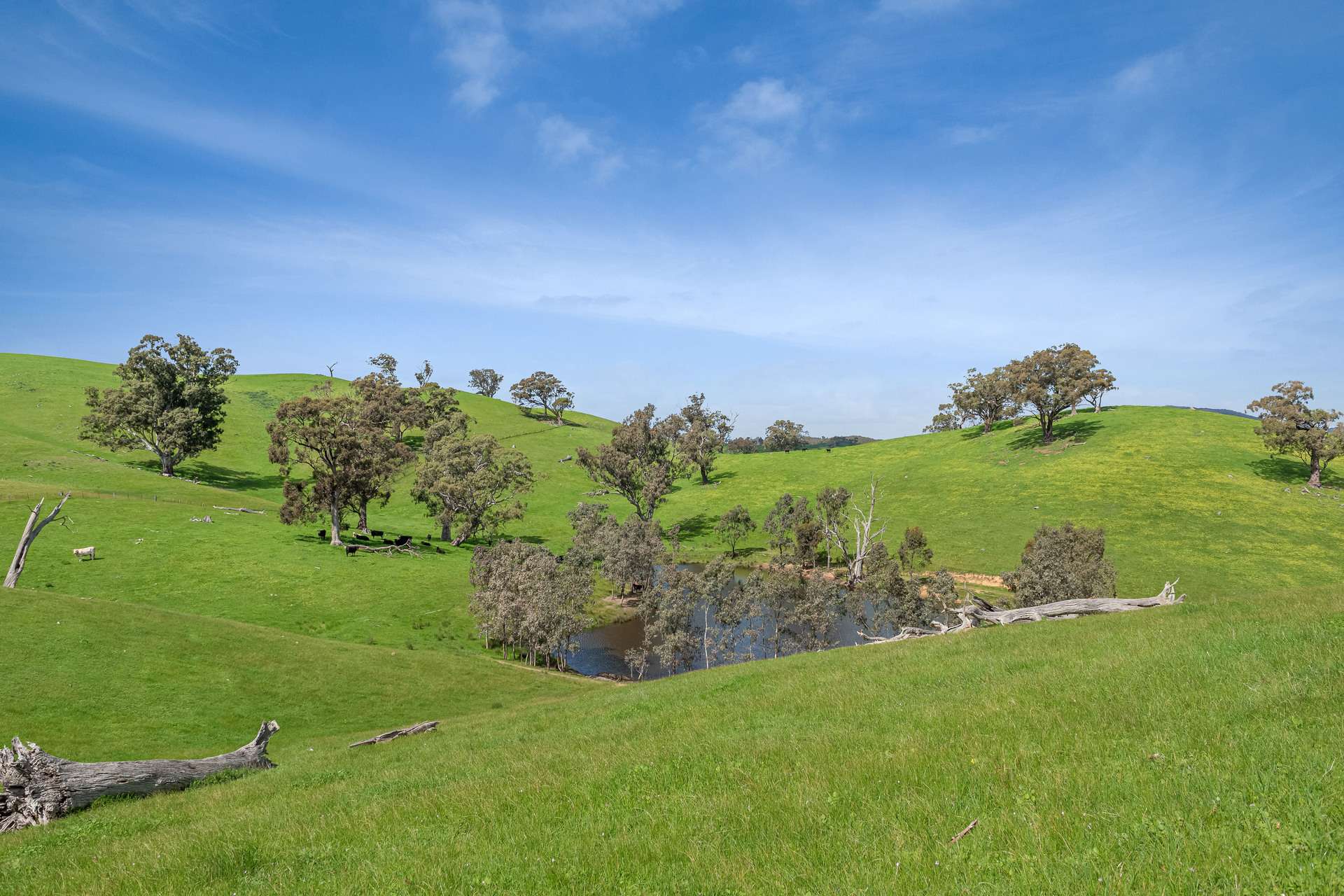 53A & 53K Northern Highway, Pyalong For Sale by Farmbuy.com - image 12