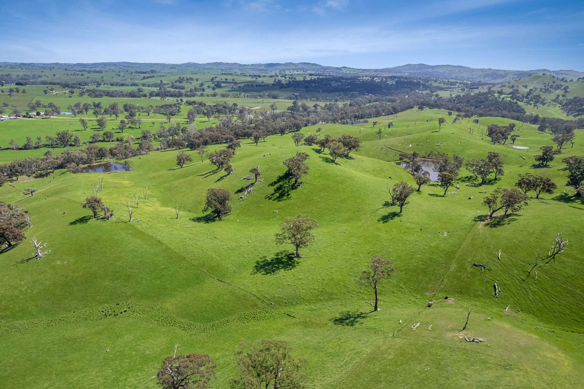 53A & 53K Northern Highway, Pyalong For Sale by Farmbuy.com - image 1