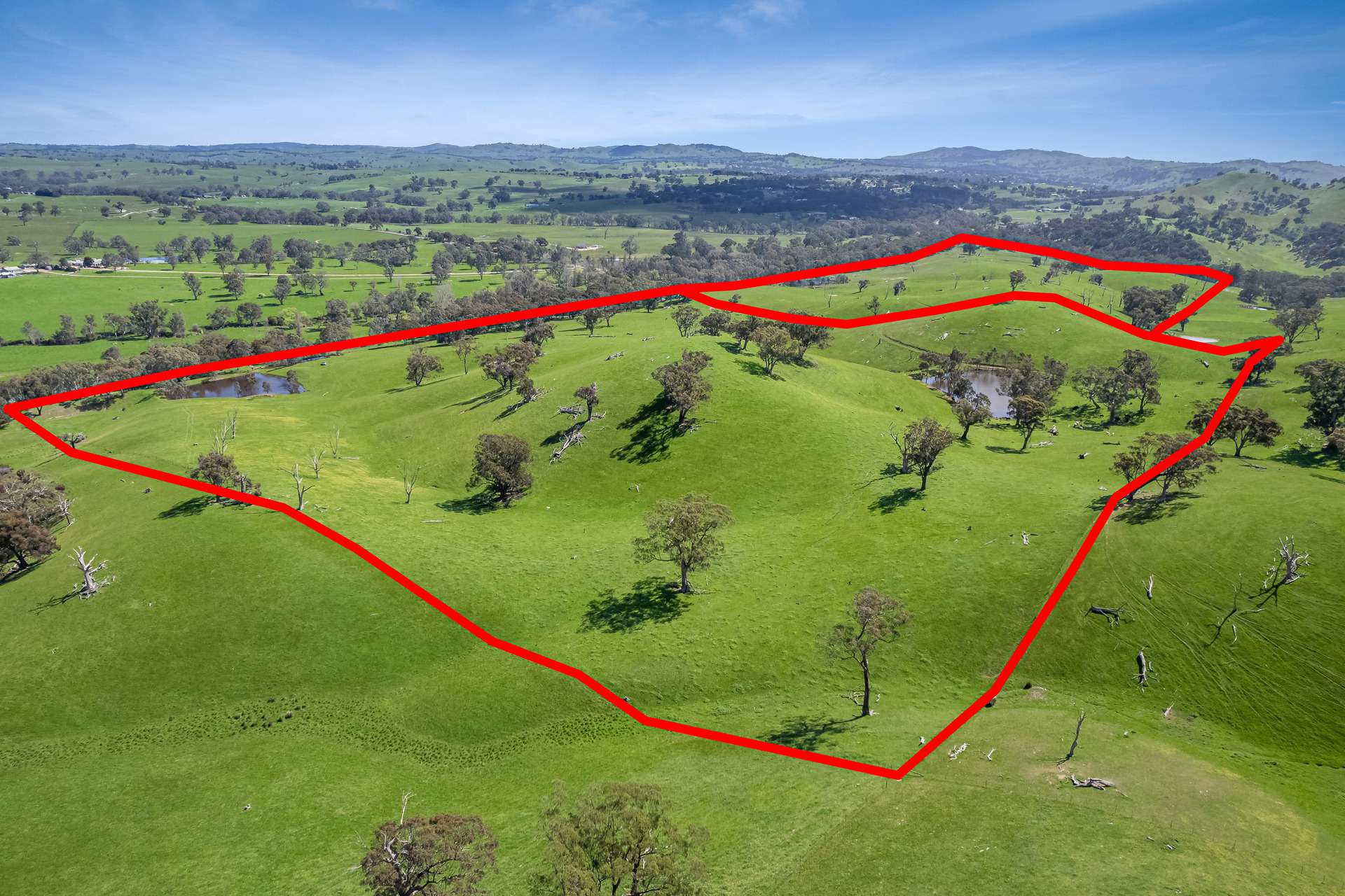 53A & 53K Northern Highway, Pyalong For Sale by Farmbuy.com - image 3
