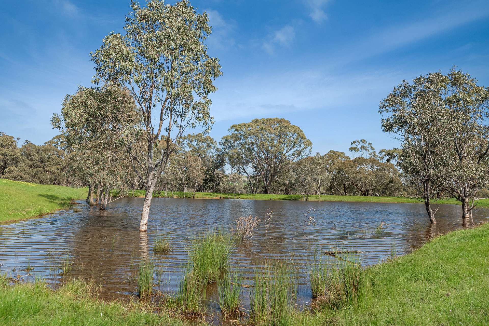 53A & 53K Northern Highway, Pyalong For Sale by Farmbuy.com - image 13