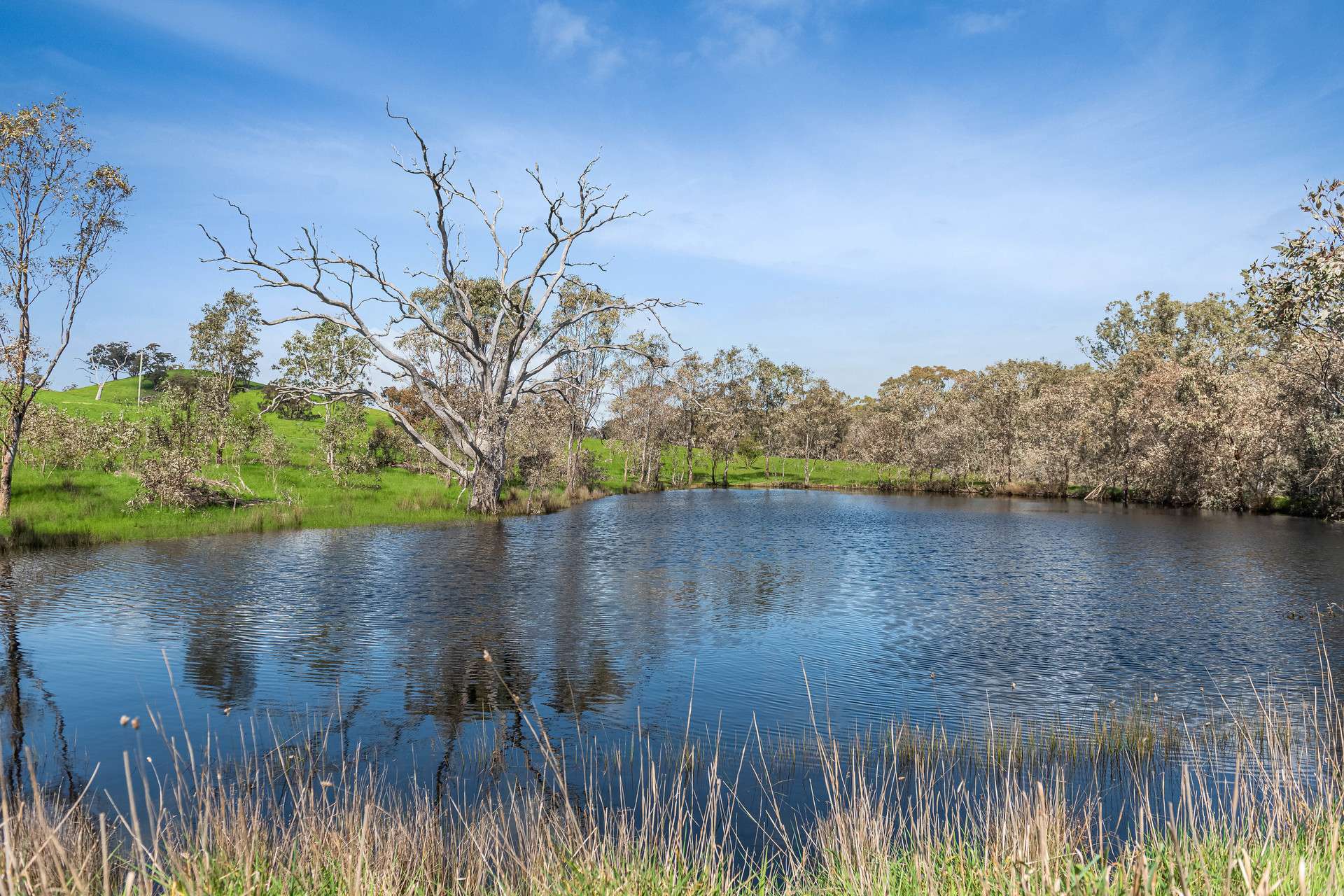 53A & 53K Northern Highway, Pyalong For Sale by Farmbuy.com - image 11